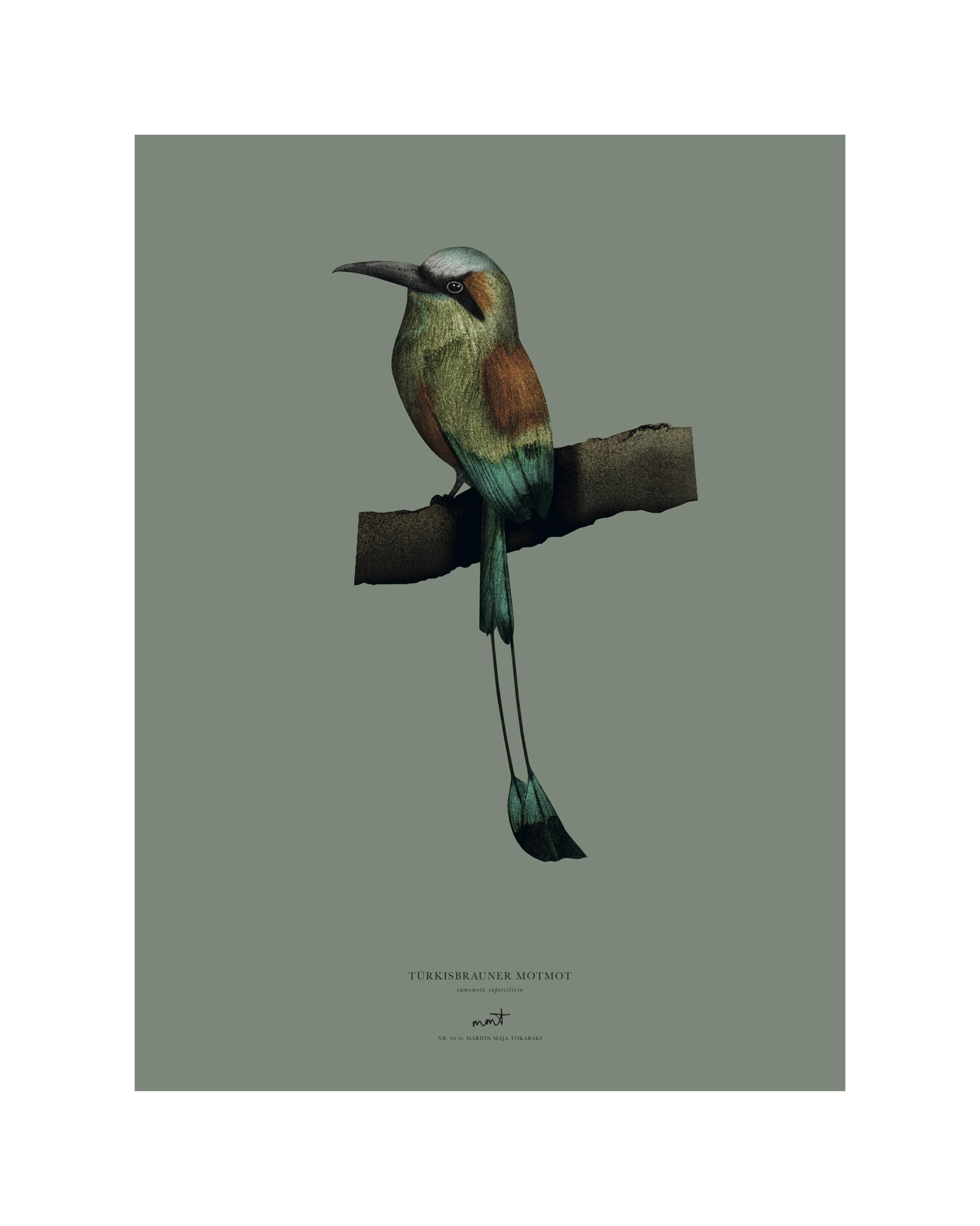 Birds - image 4 - student project