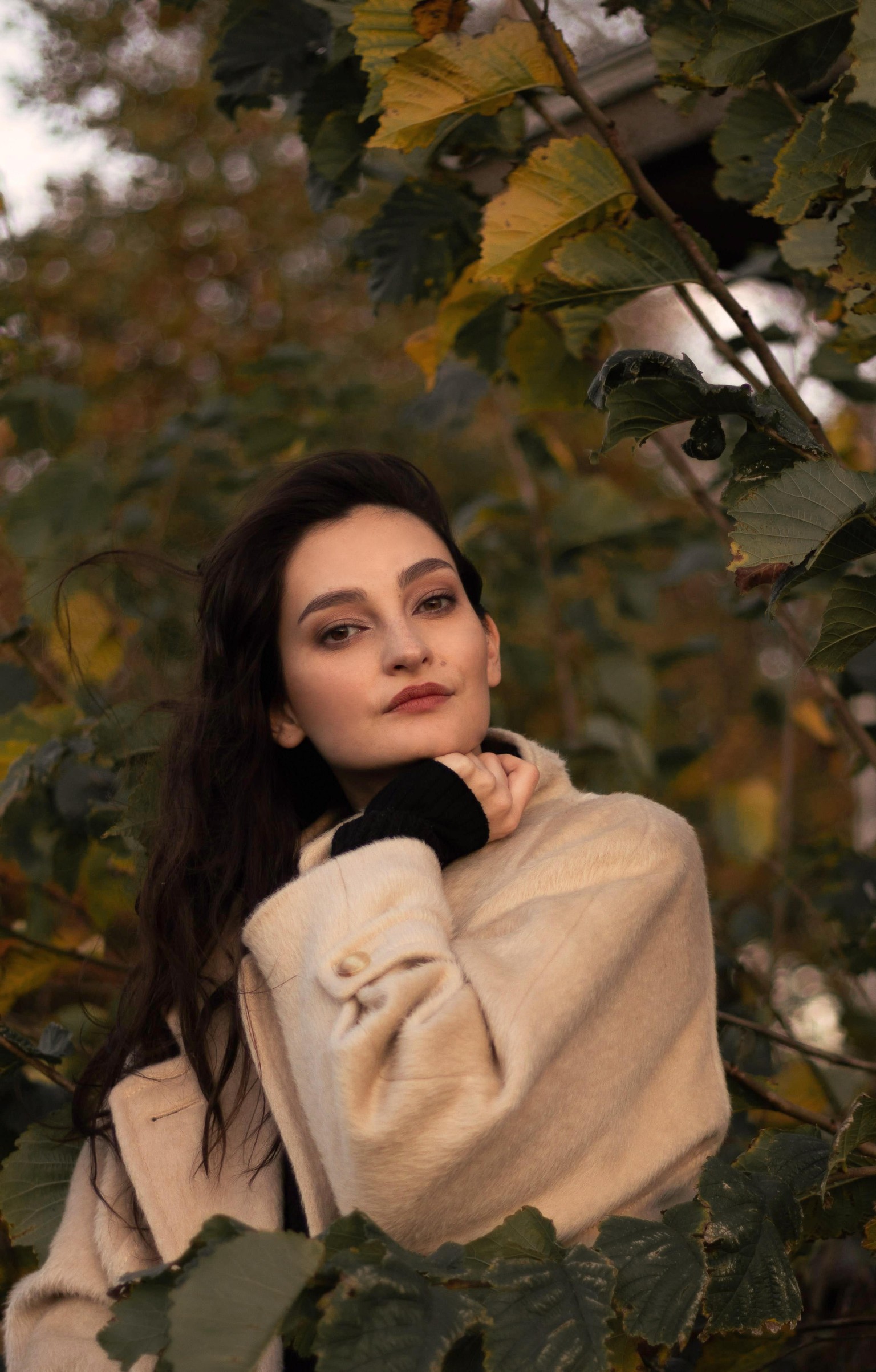 Catching sunlight - image 1 - student project