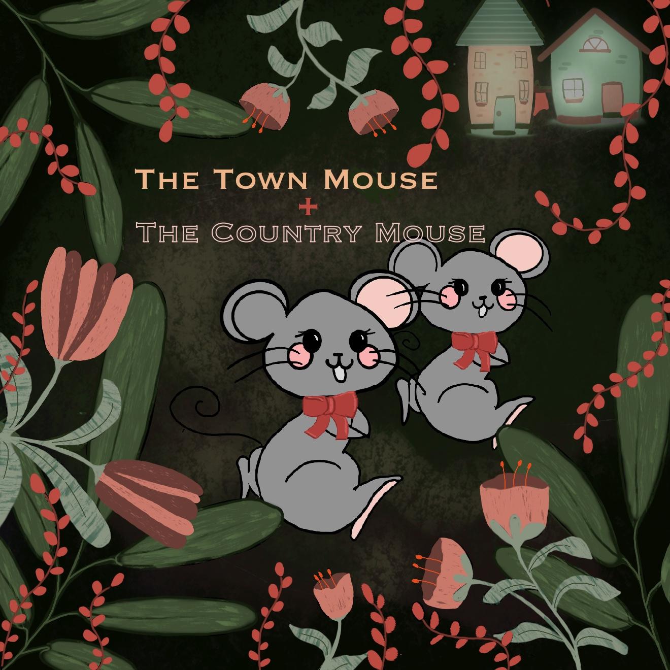 Town Mouse and Country Mouse book cover - image 2 - student project