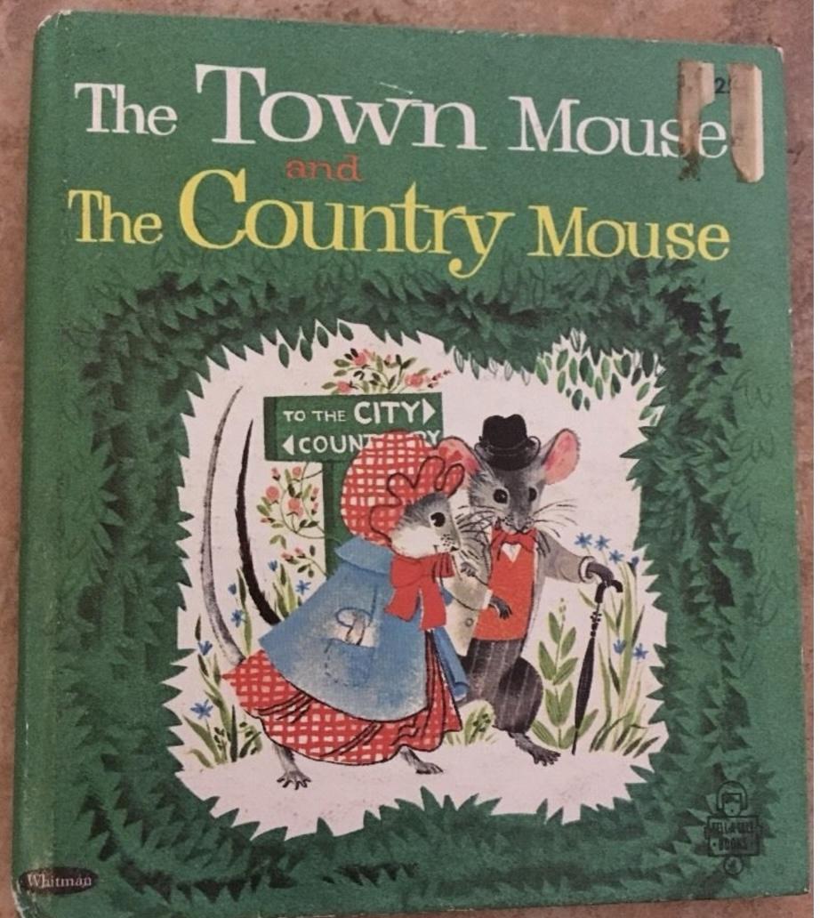 Town Mouse and Country Mouse book cover - image 1 - student project