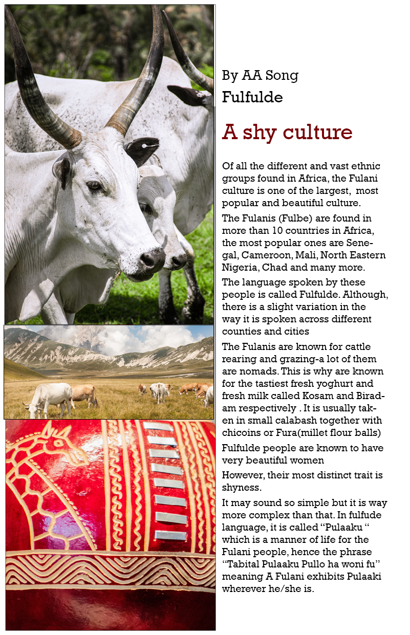 The Shy Culture - image 1 - student project