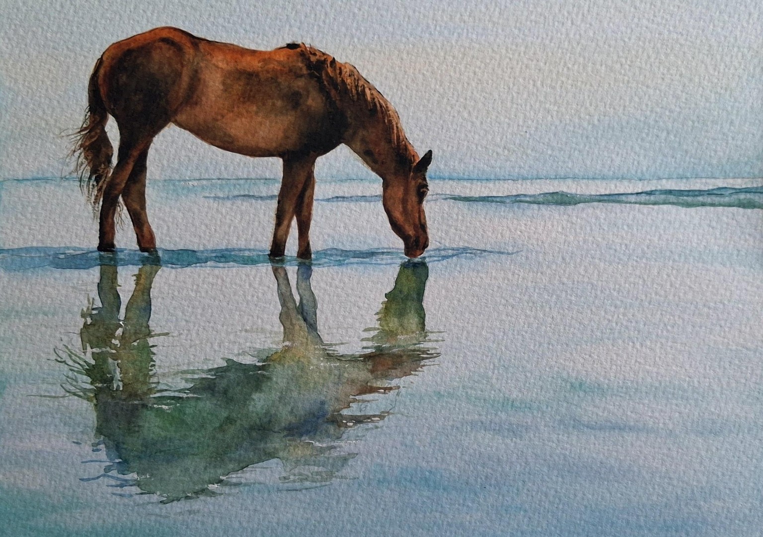 Wild Horse Watercolour - image 1 - student project