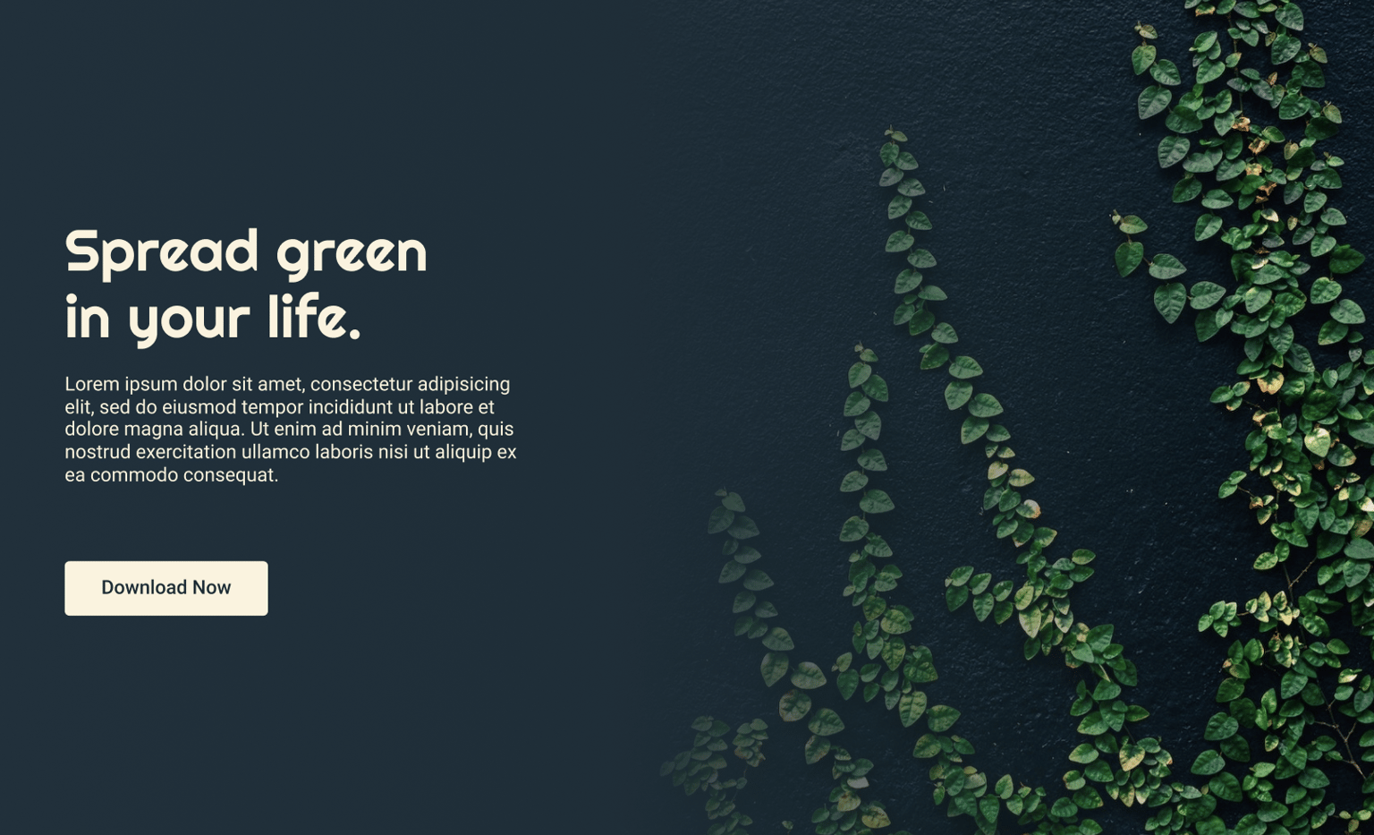 Proyects - image 12 - student project