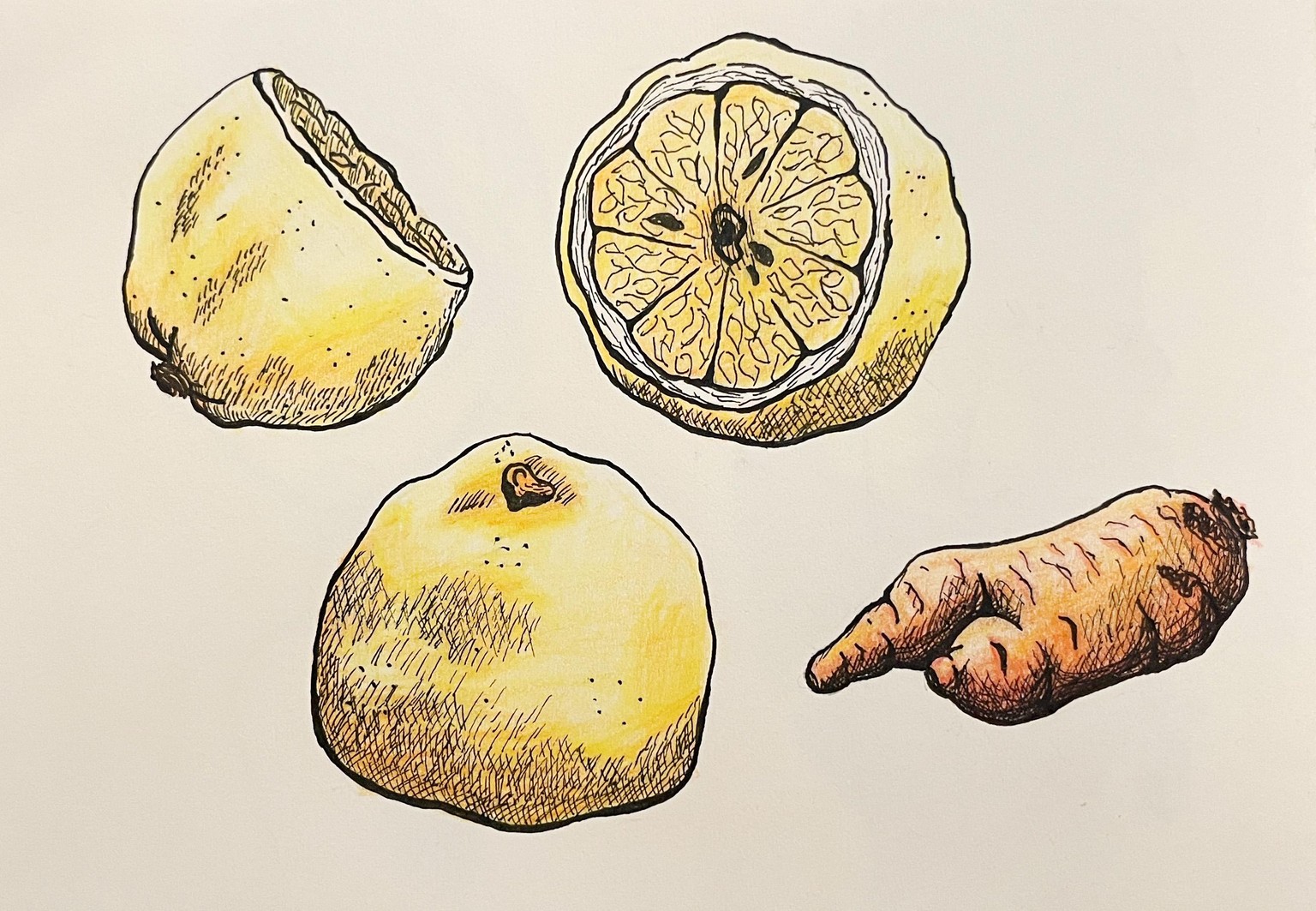 Vegetables - image 1 - student project
