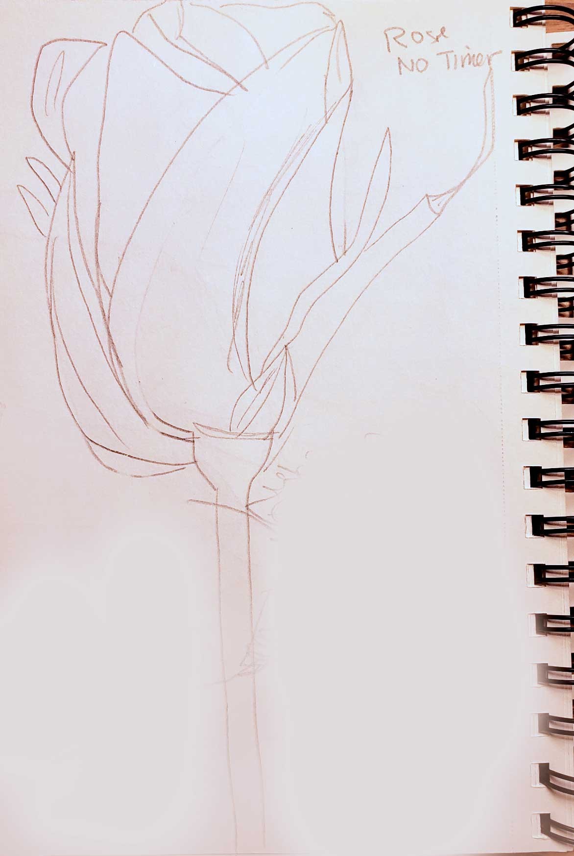 Loved This Excerise! - image 4 - student project