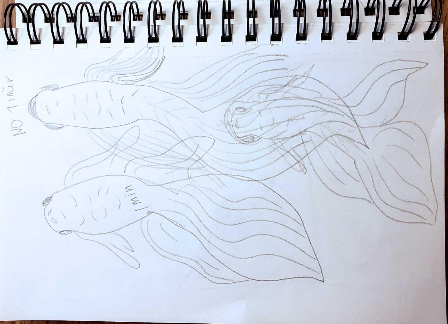 Loved This Excerise! - image 2 - student project