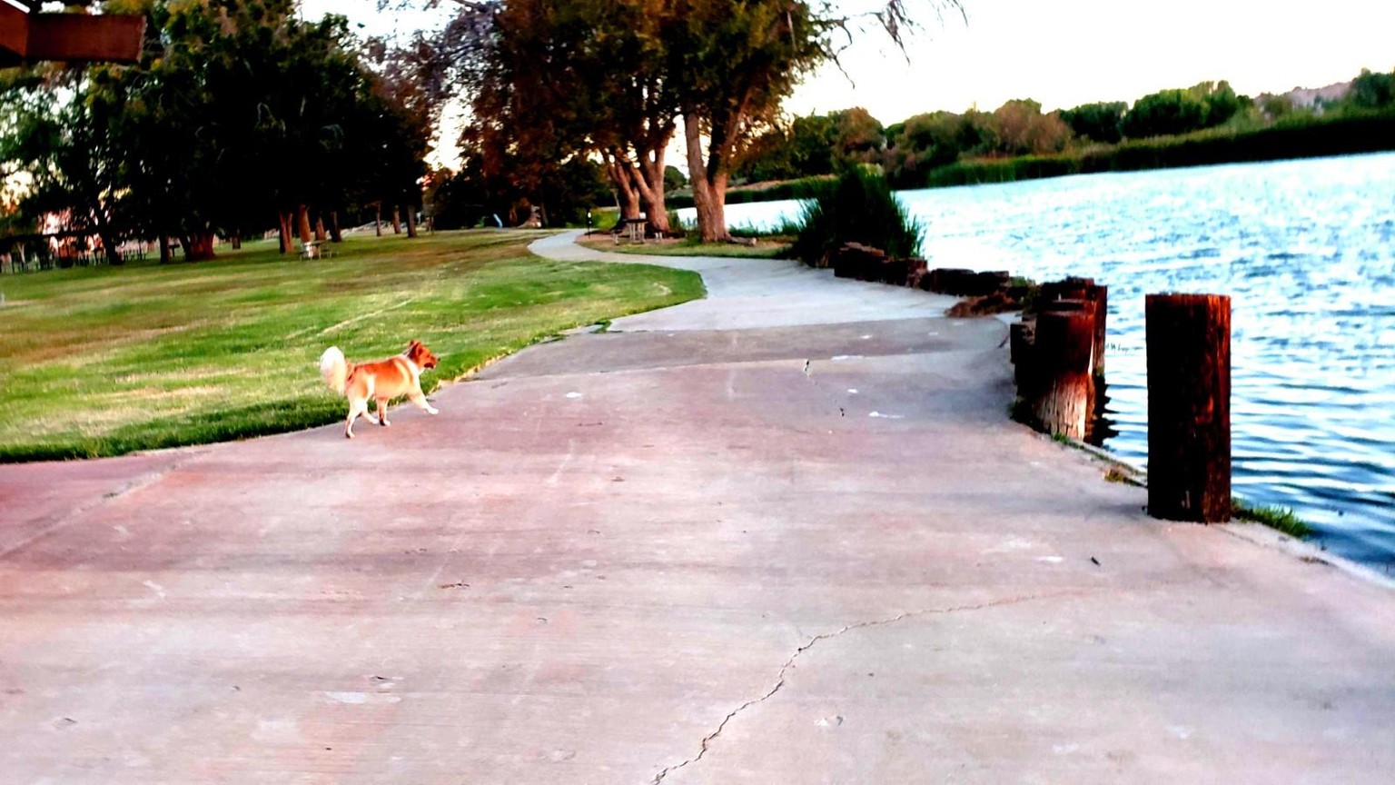 GIZMO BY THE LAKE - image 1 - student project