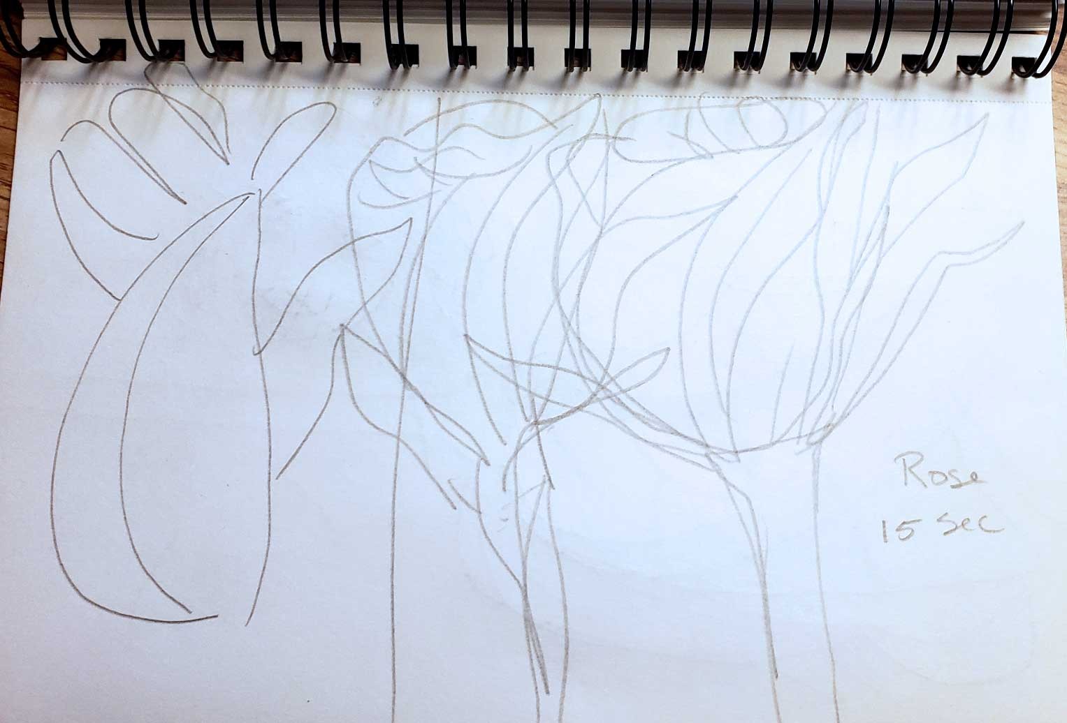 Loved This Excerise! - image 3 - student project