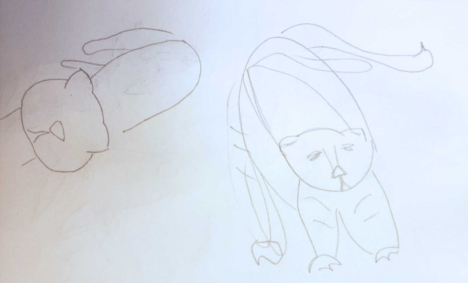 Loved This Excerise! - image 6 - student project