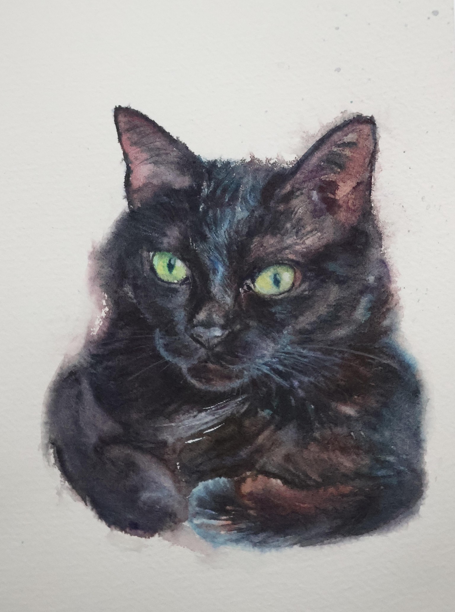 Watercolor Mastery: Paint Realistic BLACK Animals w/Wet on Wet and Lifting - image 1 - student project