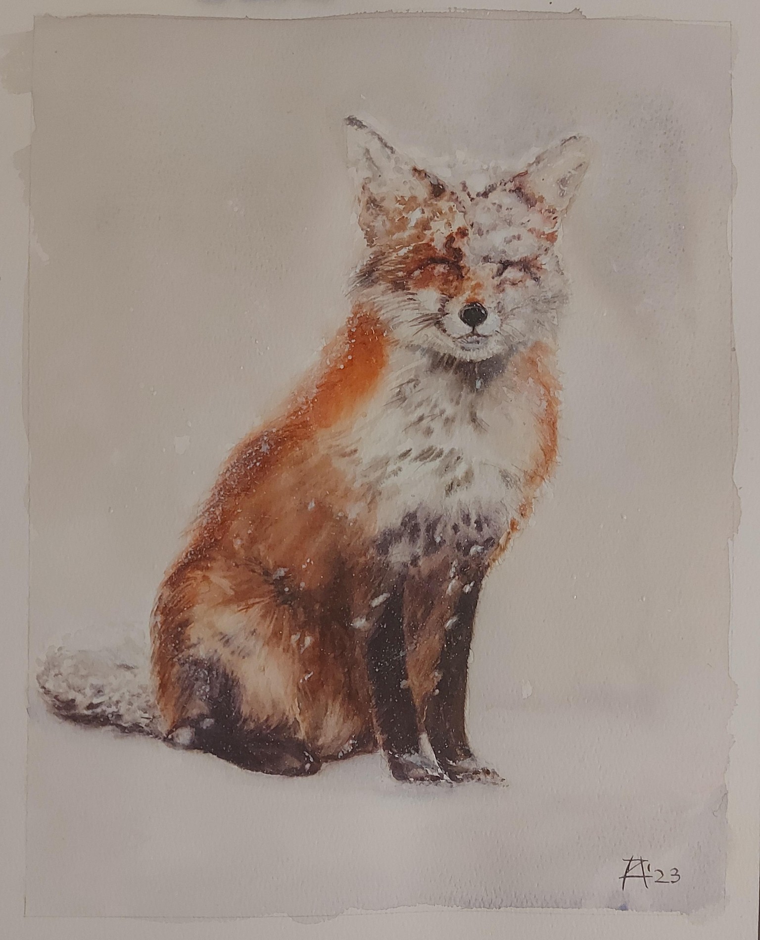 Snowy Red Fox In Watercolors: Step-By-Step Guide For Painting Fluffy Fur - image 1 - student project