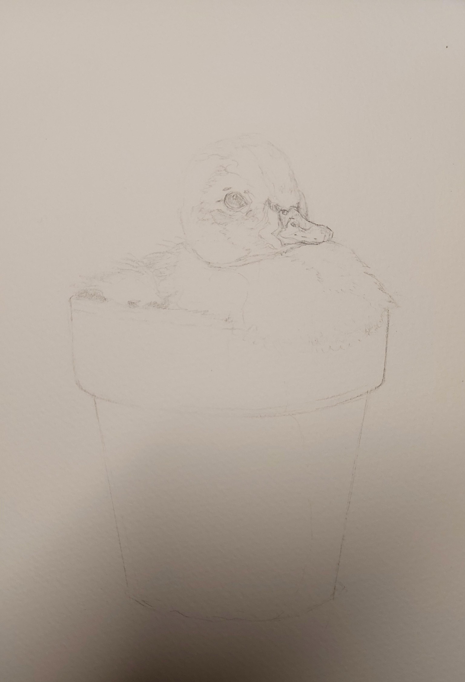 Soft Yellow Duckling Portrait - Learn To Paint Soft Down And Hair - image 2 - student project