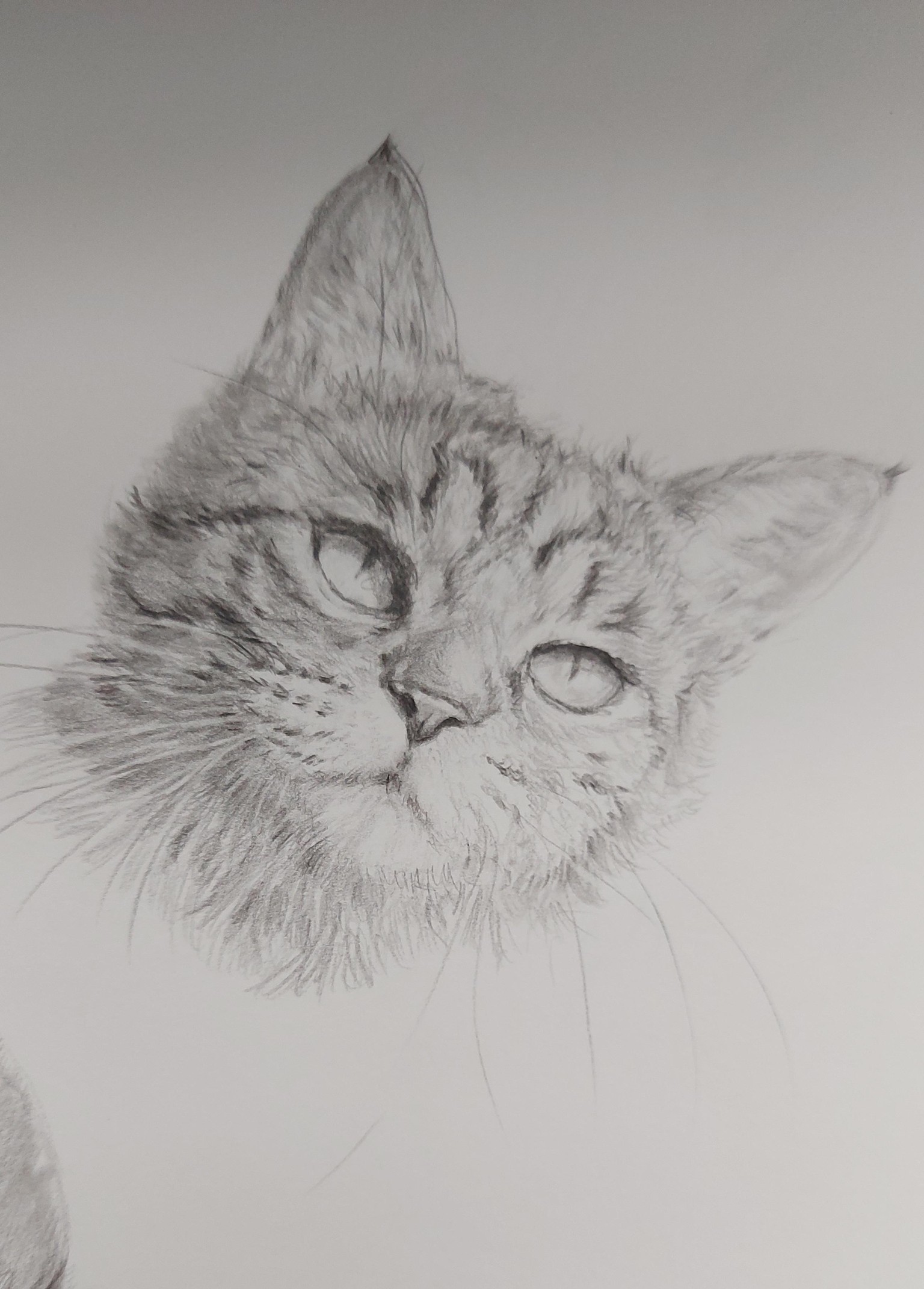 How to Draw: A Beginner’s Guide - Part 1 of The Drawing Laboratory - image 5 - student project