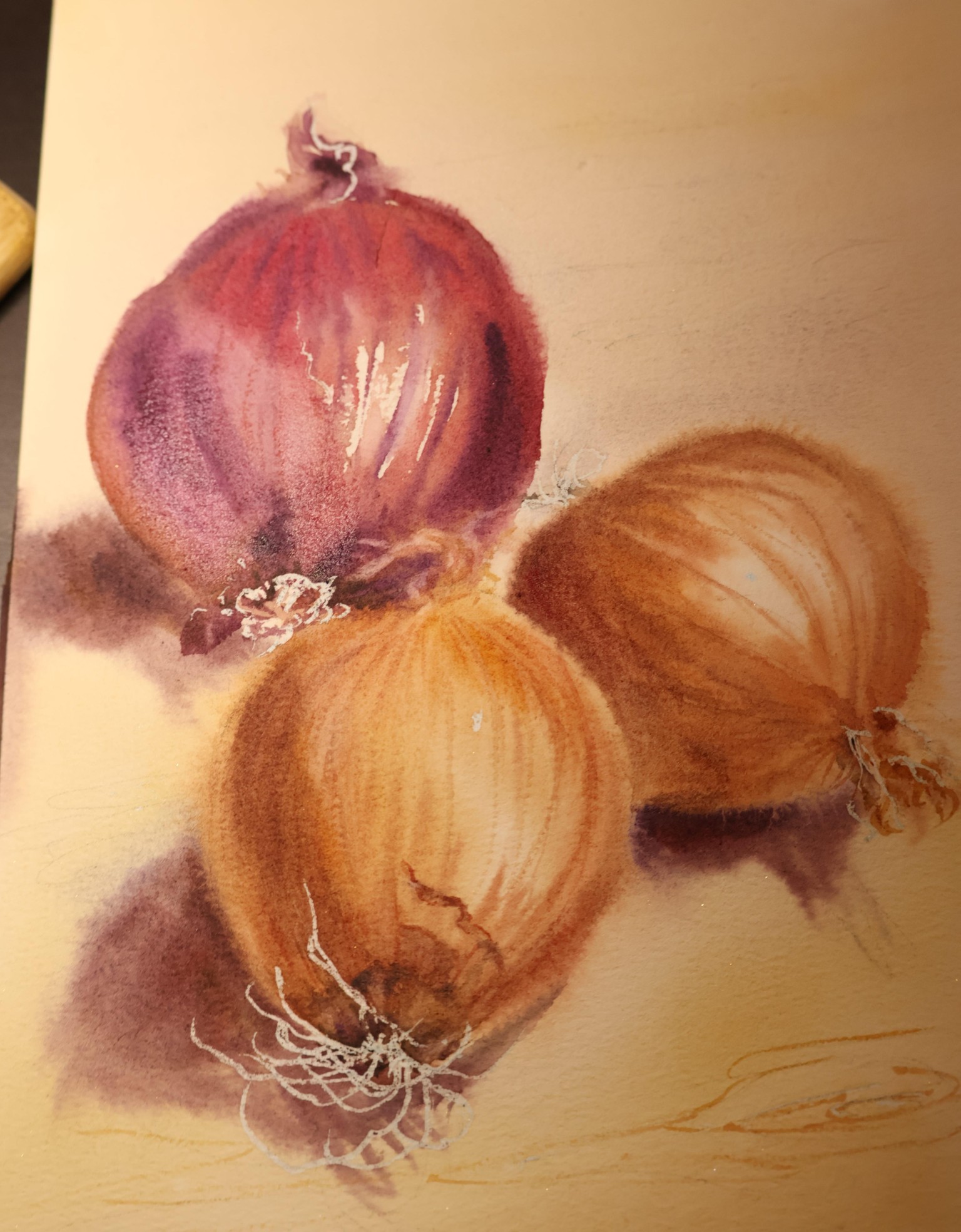 From Bulb to Brush: Painting Charming Onions in Watercolor - image 3 - student project