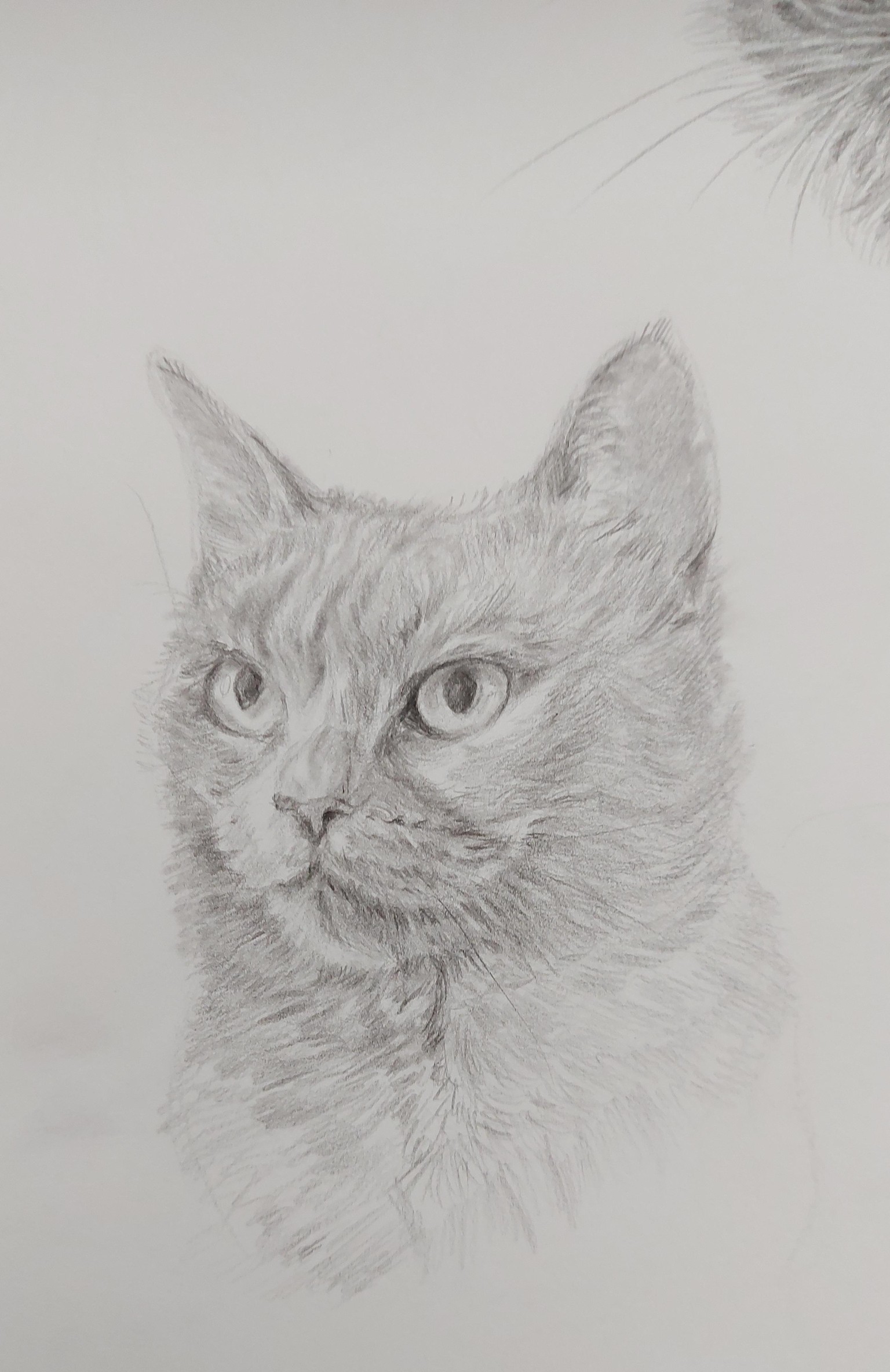 How to Draw: A Beginner’s Guide - Part 1 of The Drawing Laboratory - image 3 - student project