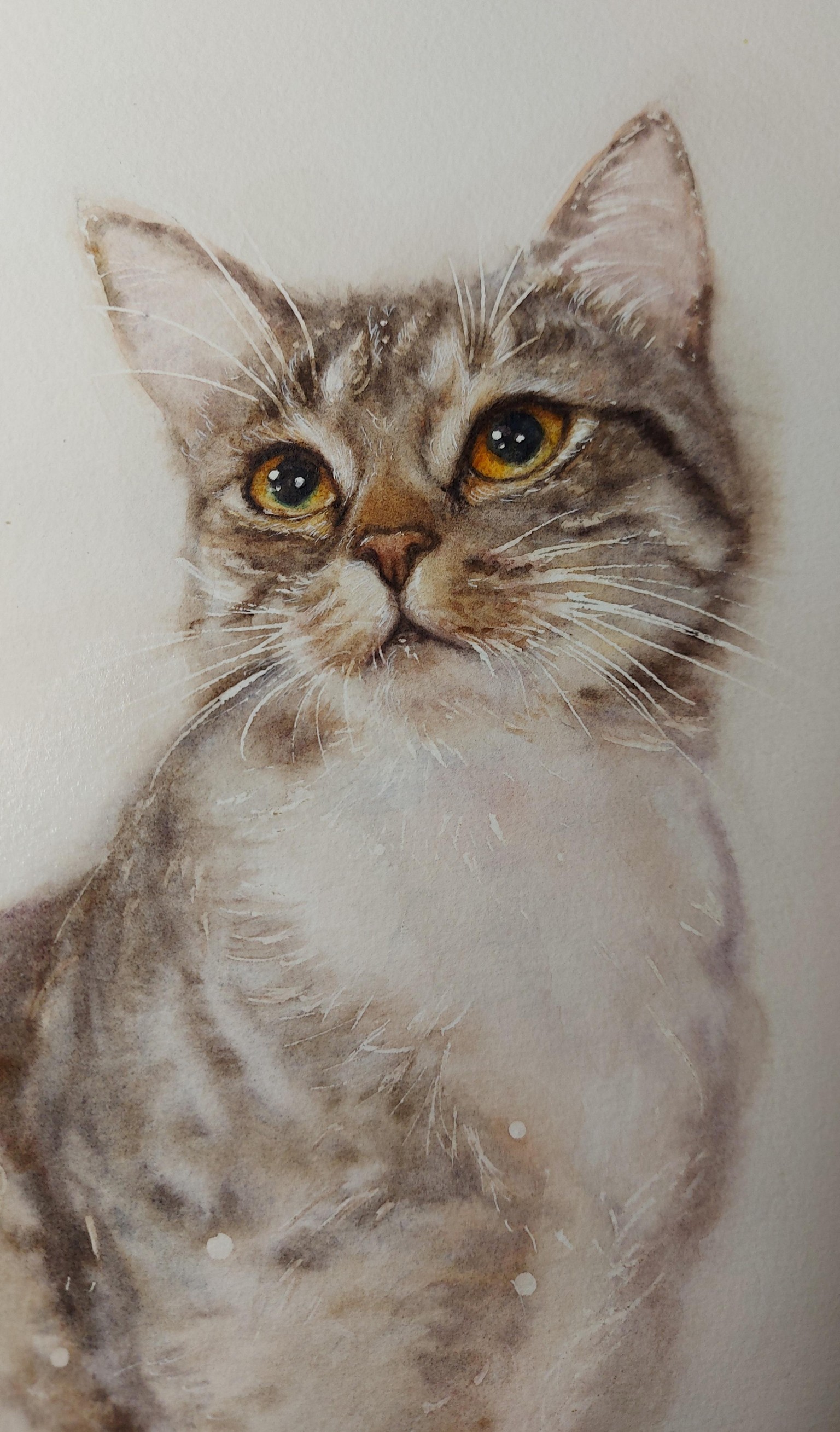 Cat. A Free-Flow Watercolour Masterclass with Jane Davies - image 2 - student project