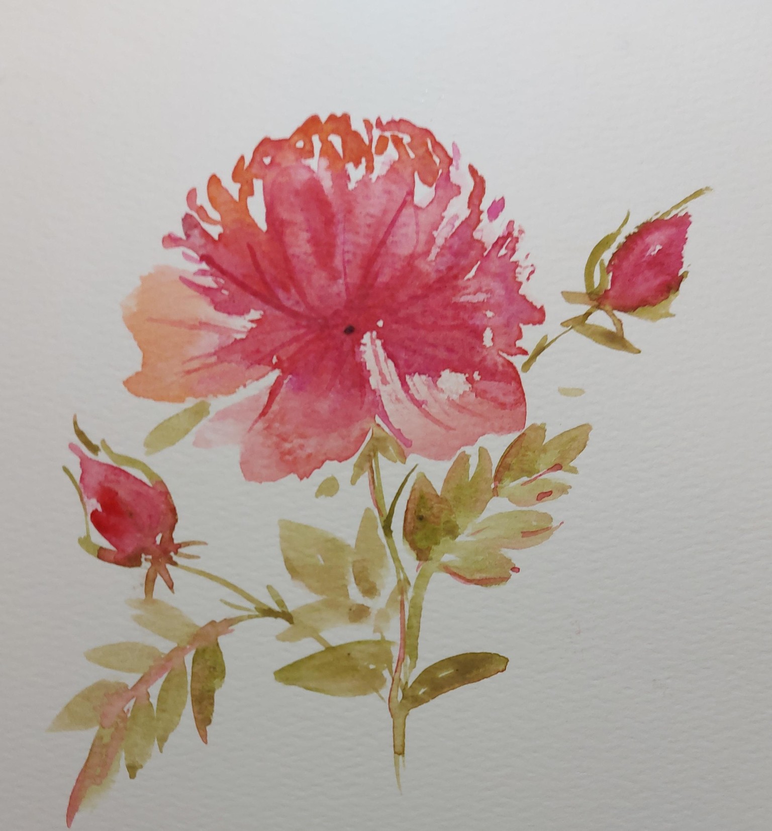 Master Your Brushstrokes in Watercolors: Paint Roses - image 6 - student project
