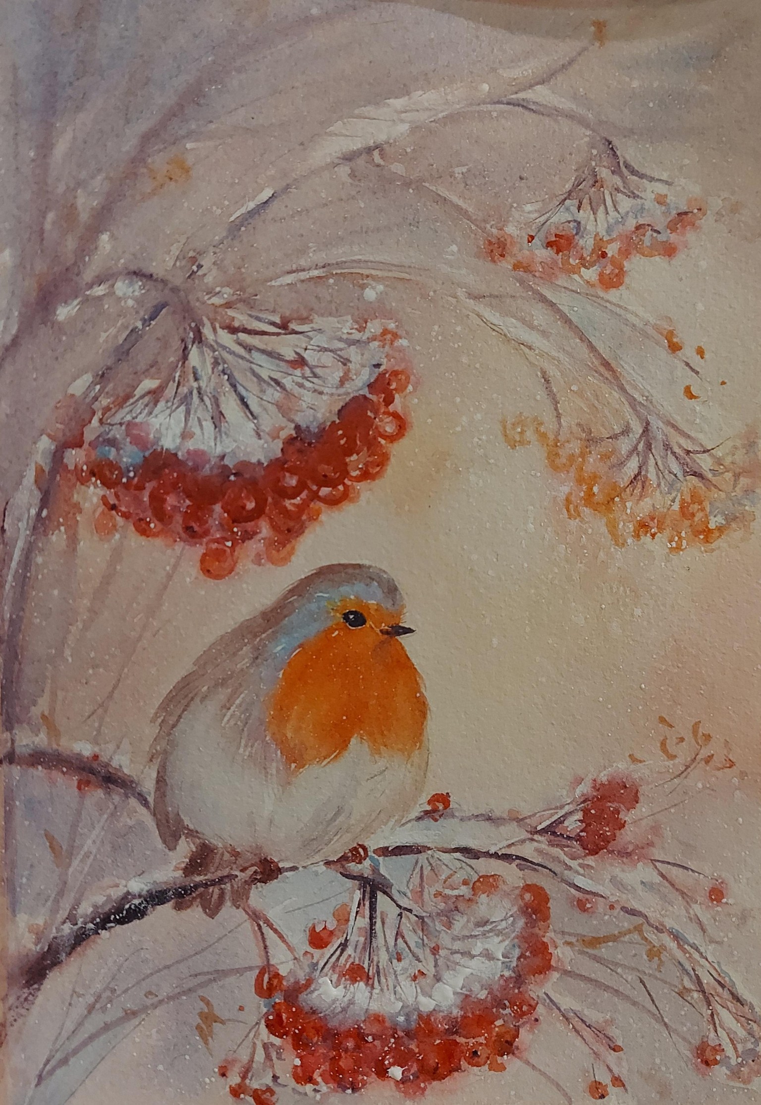 Robin birds - image 3 - student project