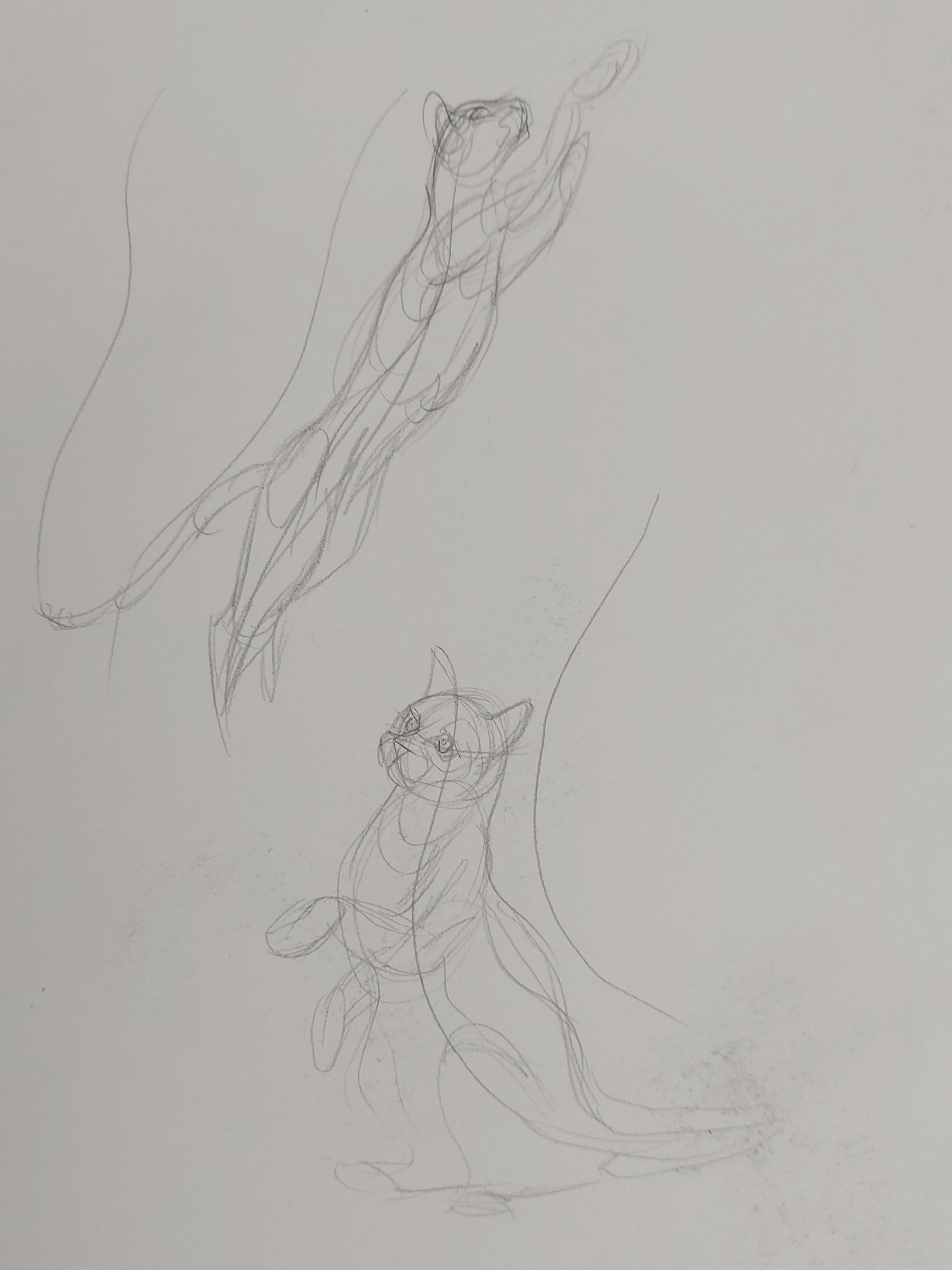 How to Draw: A Beginner’s Guide - Part 1 of The Drawing Laboratory - image 11 - student project