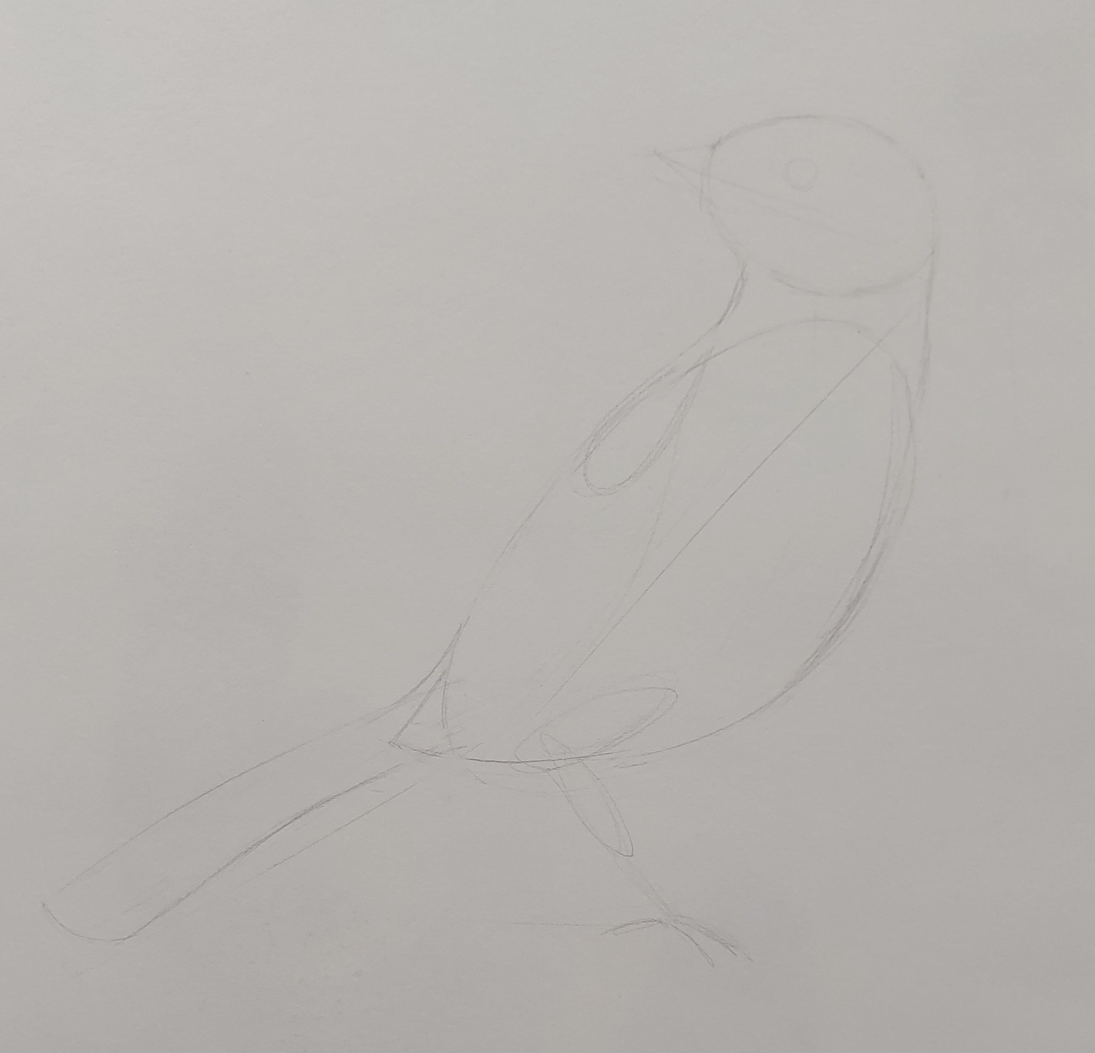 How to Draw: A Beginner’s Guide - Part 1 of The Drawing Laboratory - image 15 - student project