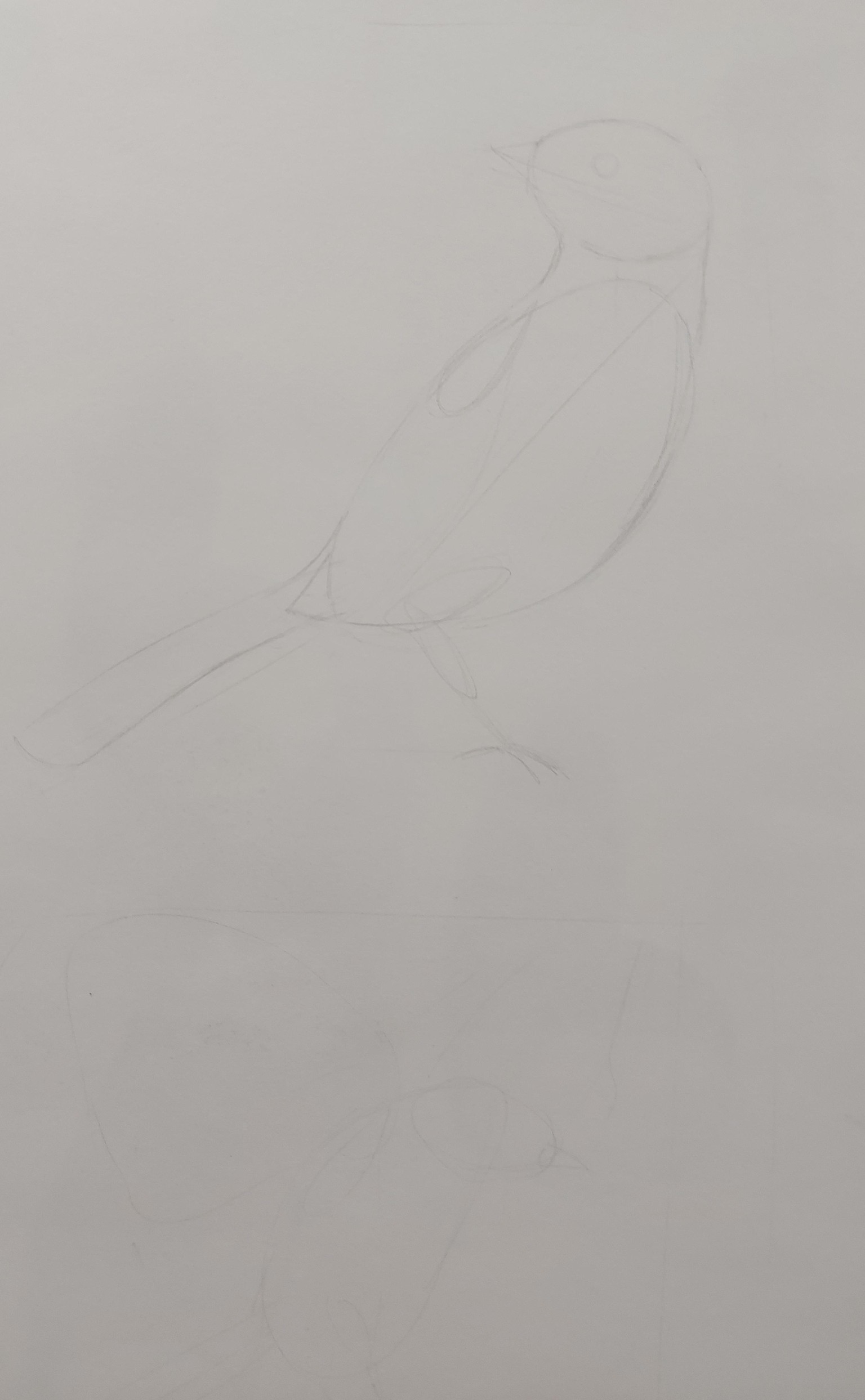 How to Draw: A Beginner’s Guide - Part 1 of The Drawing Laboratory - image 9 - student project