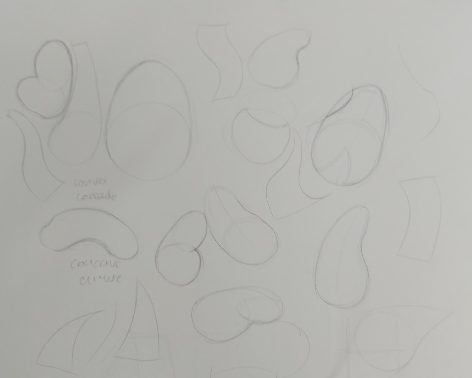 How to Draw: A Beginner’s Guide - Part 1 of The Drawing Laboratory - image 12 - student project