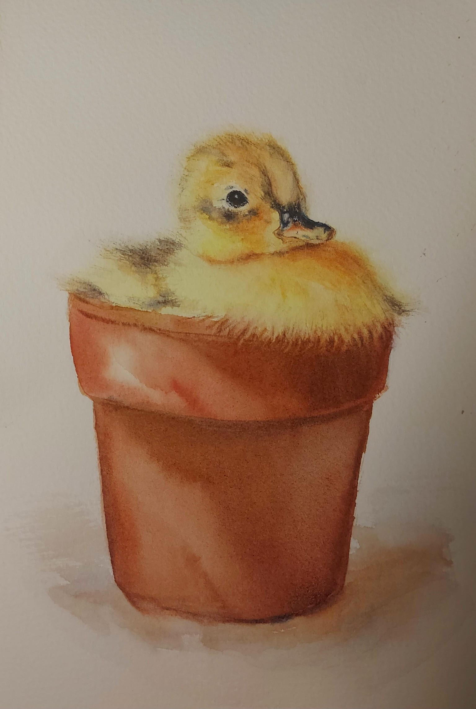 Soft Yellow Duckling Portrait - Learn To Paint Soft Down And Hair - image 3 - student project