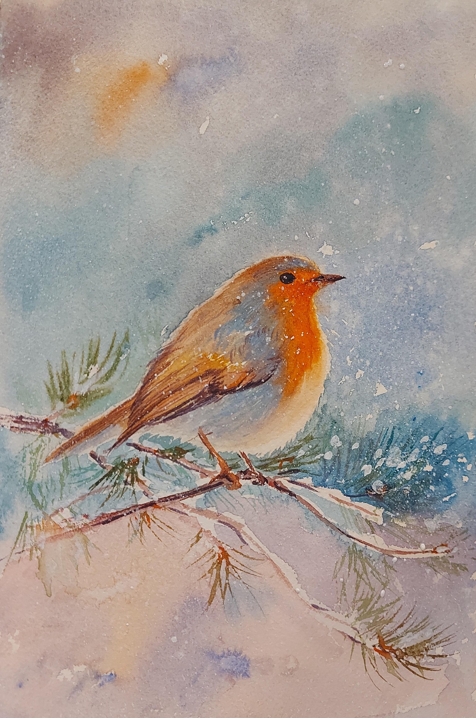 Robin birds - image 2 - student project