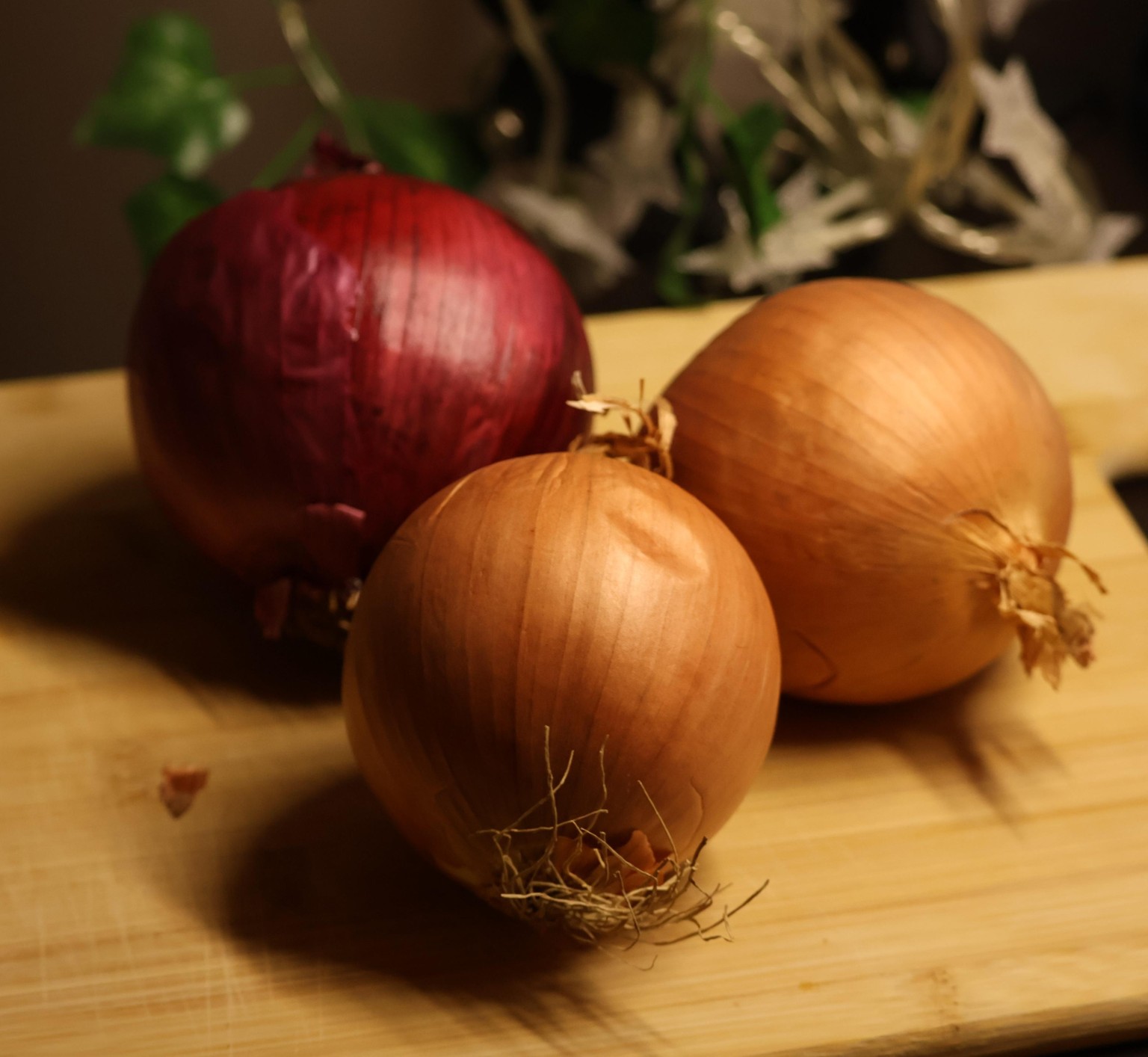 From Bulb to Brush: Painting Charming Onions in Watercolor - image 2 - student project
