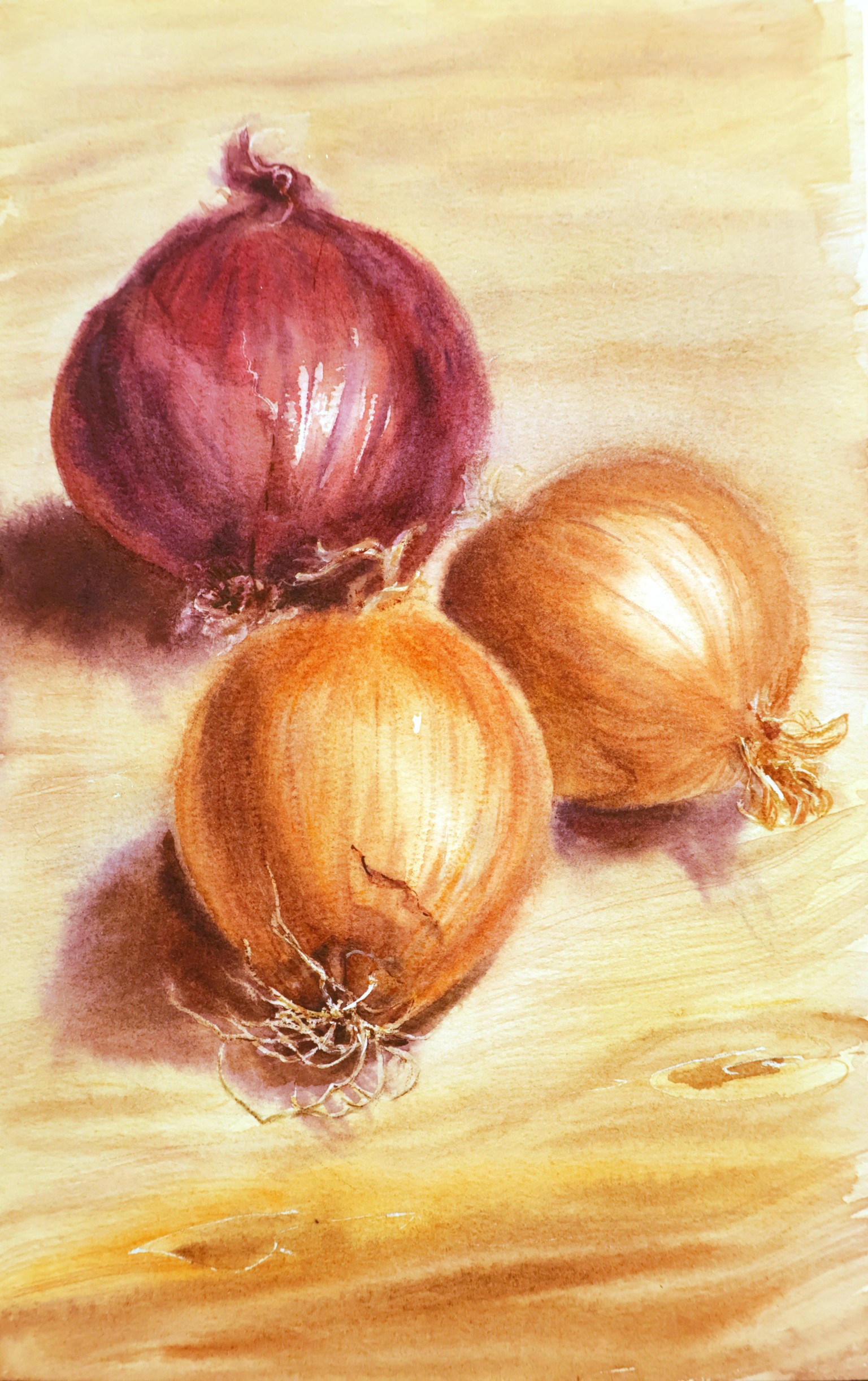 From Bulb to Brush: Painting Charming Onions in Watercolor - image 1 - student project