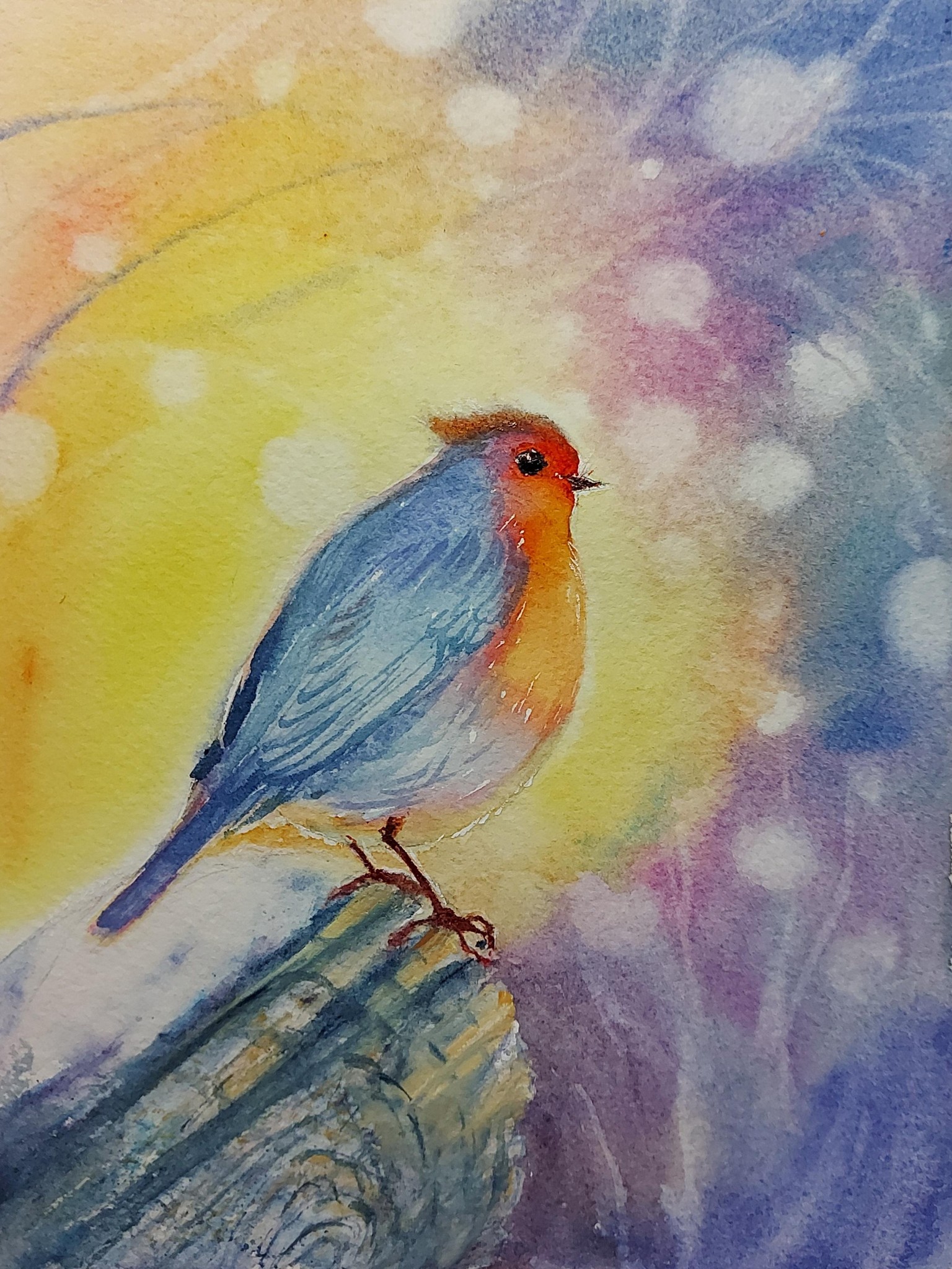Robin birds - image 1 - student project