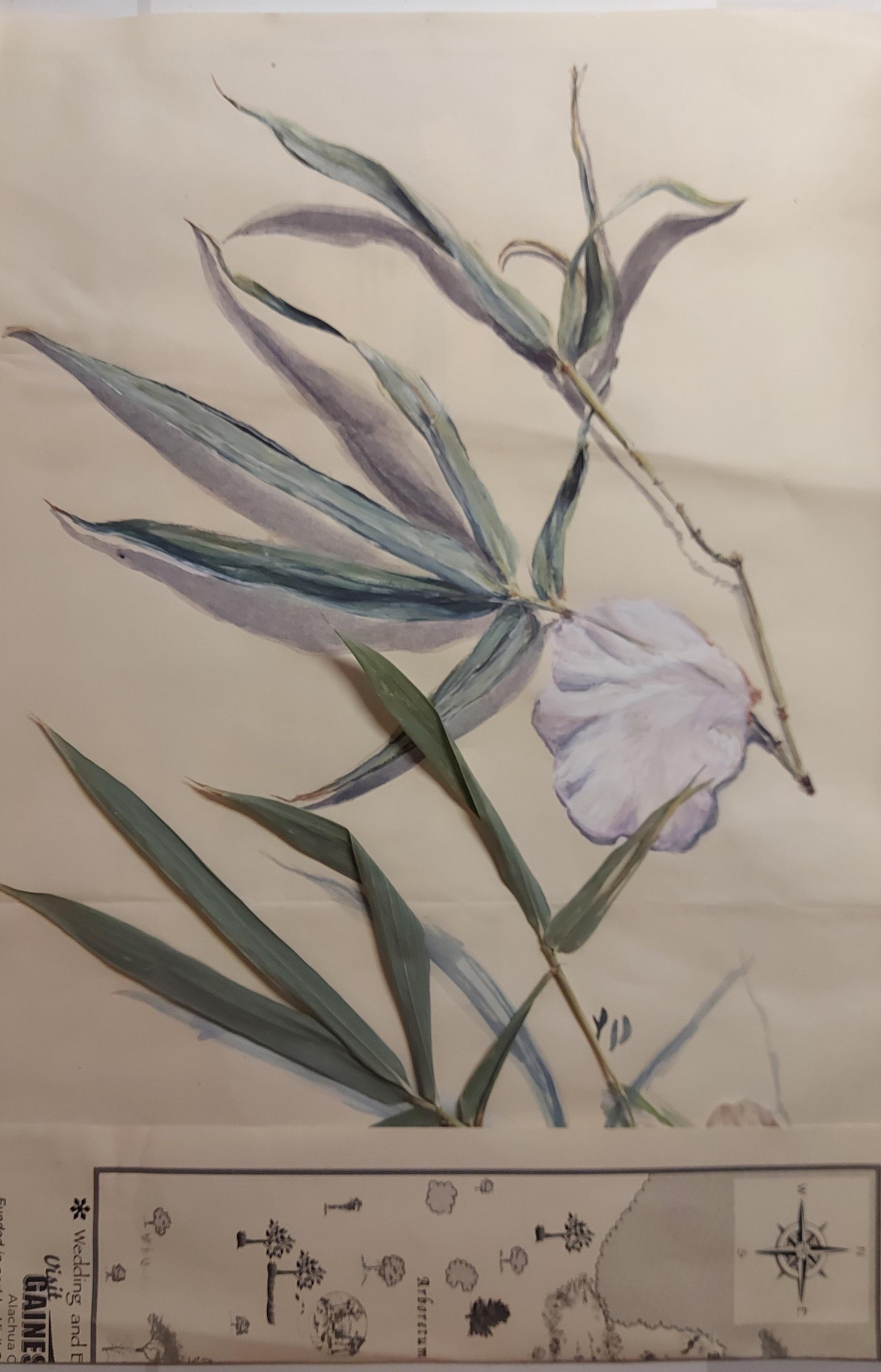 Sustainable sketchbook - image 5 - student project