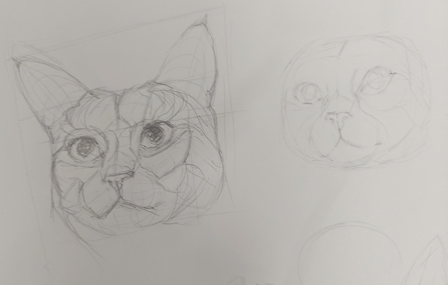 How to Draw: A Beginner’s Guide - Part 1 of The Drawing Laboratory - image 10 - student project