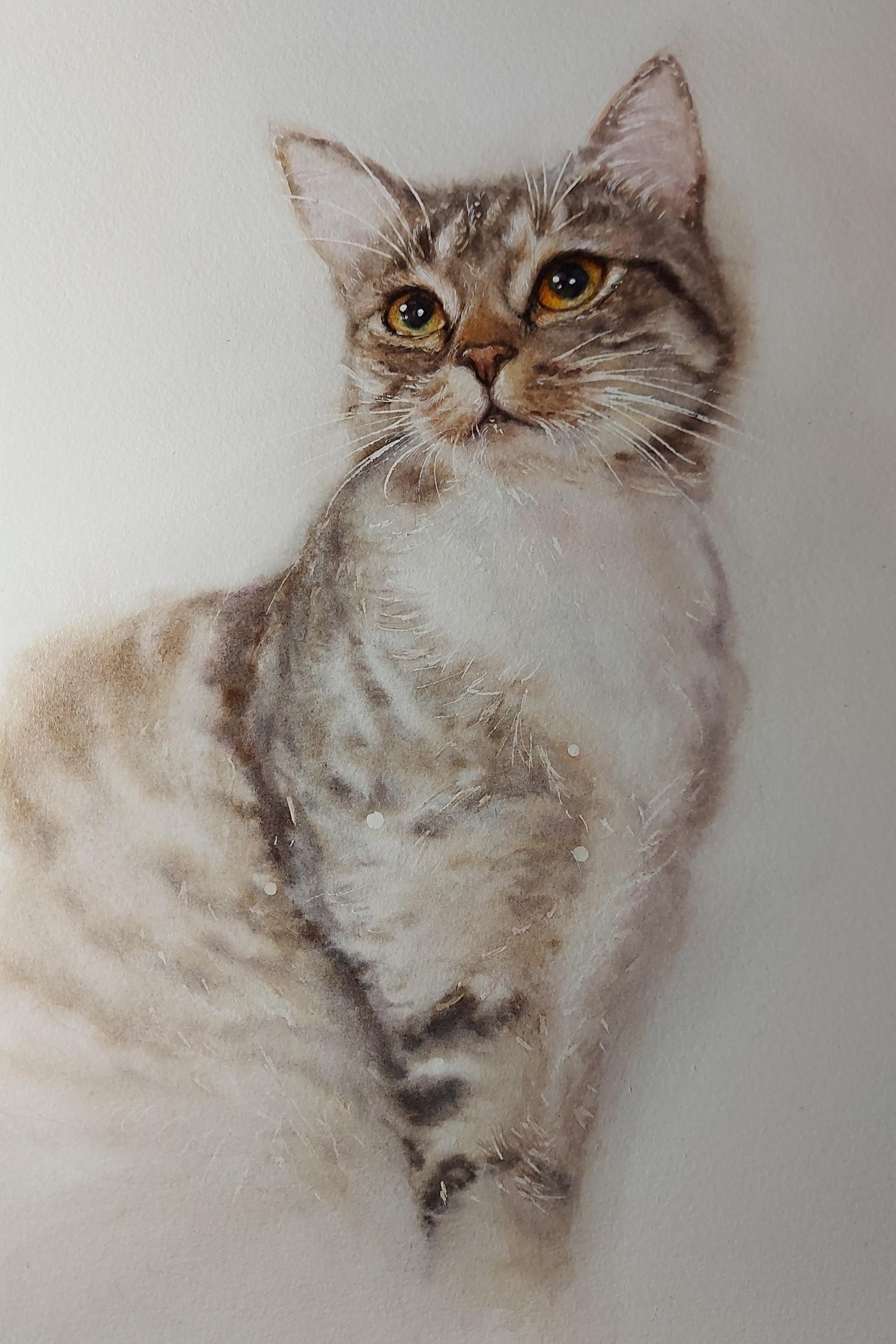 Cat. A Free-Flow Watercolour Masterclass with Jane Davies - image 1 - student project