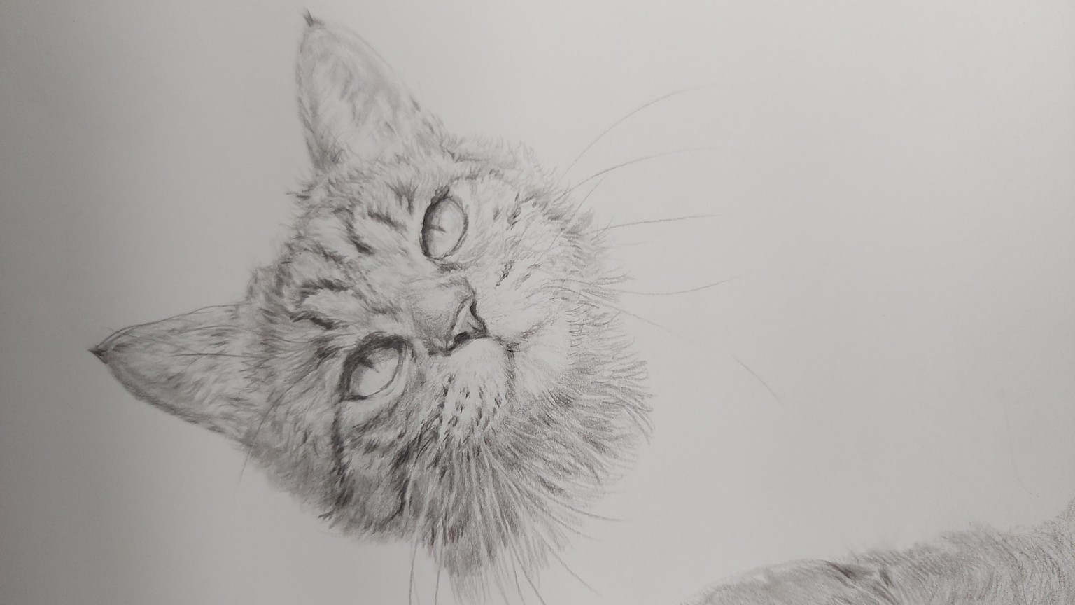 How to Draw: A Beginner’s Guide - Part 1 of The Drawing Laboratory - image 2 - student project