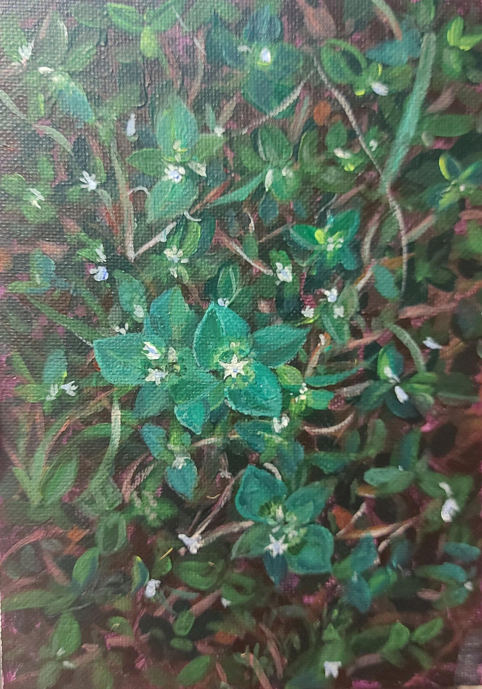 Flowers - image 2 - student project
