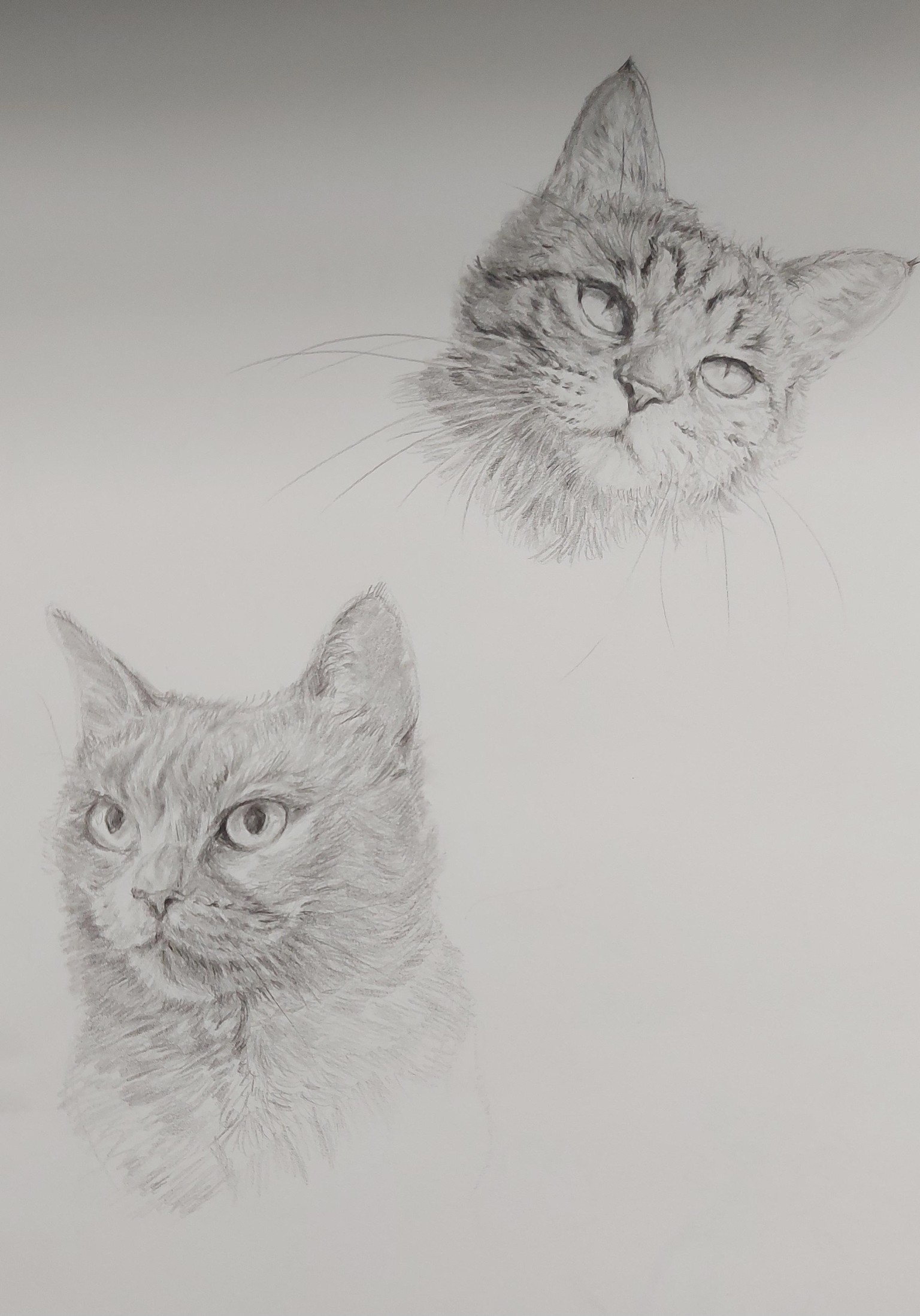 How to Draw: A Beginner’s Guide - Part 1 of The Drawing Laboratory - image 4 - student project