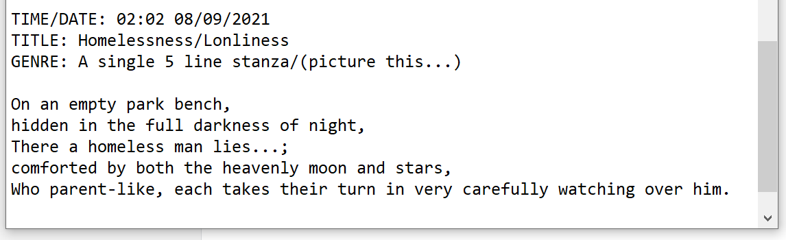 Paul Ramnora Beginner Poems - image 16 - student project