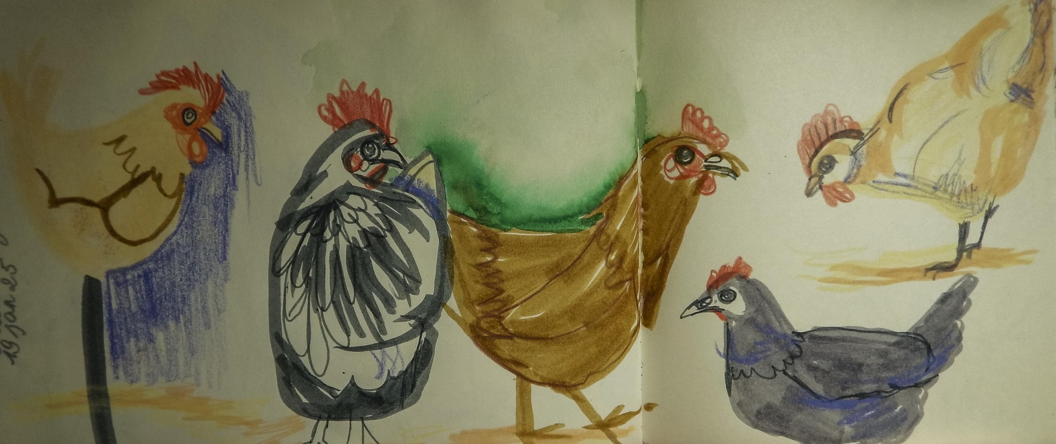 Sketchbook seeds - image 9 - student project