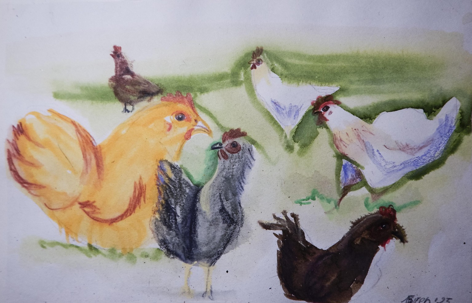 Sketchbook seeds - image 17 - student project