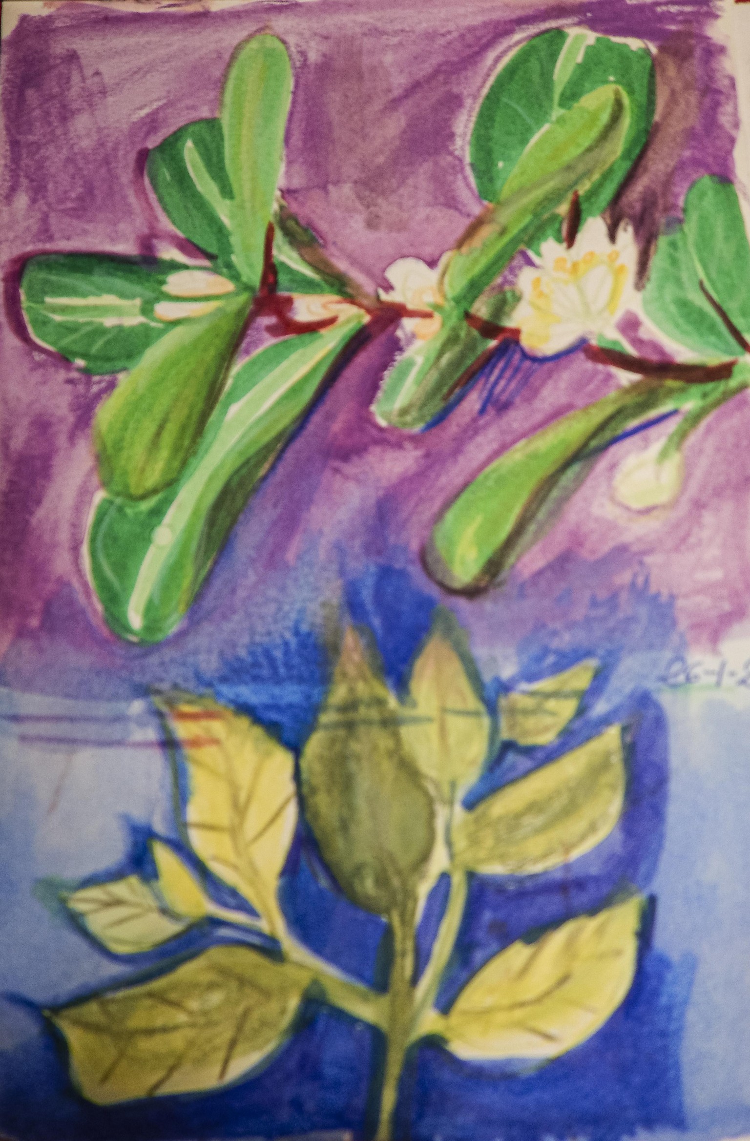 Sketchbook seeds - image 14 - student project