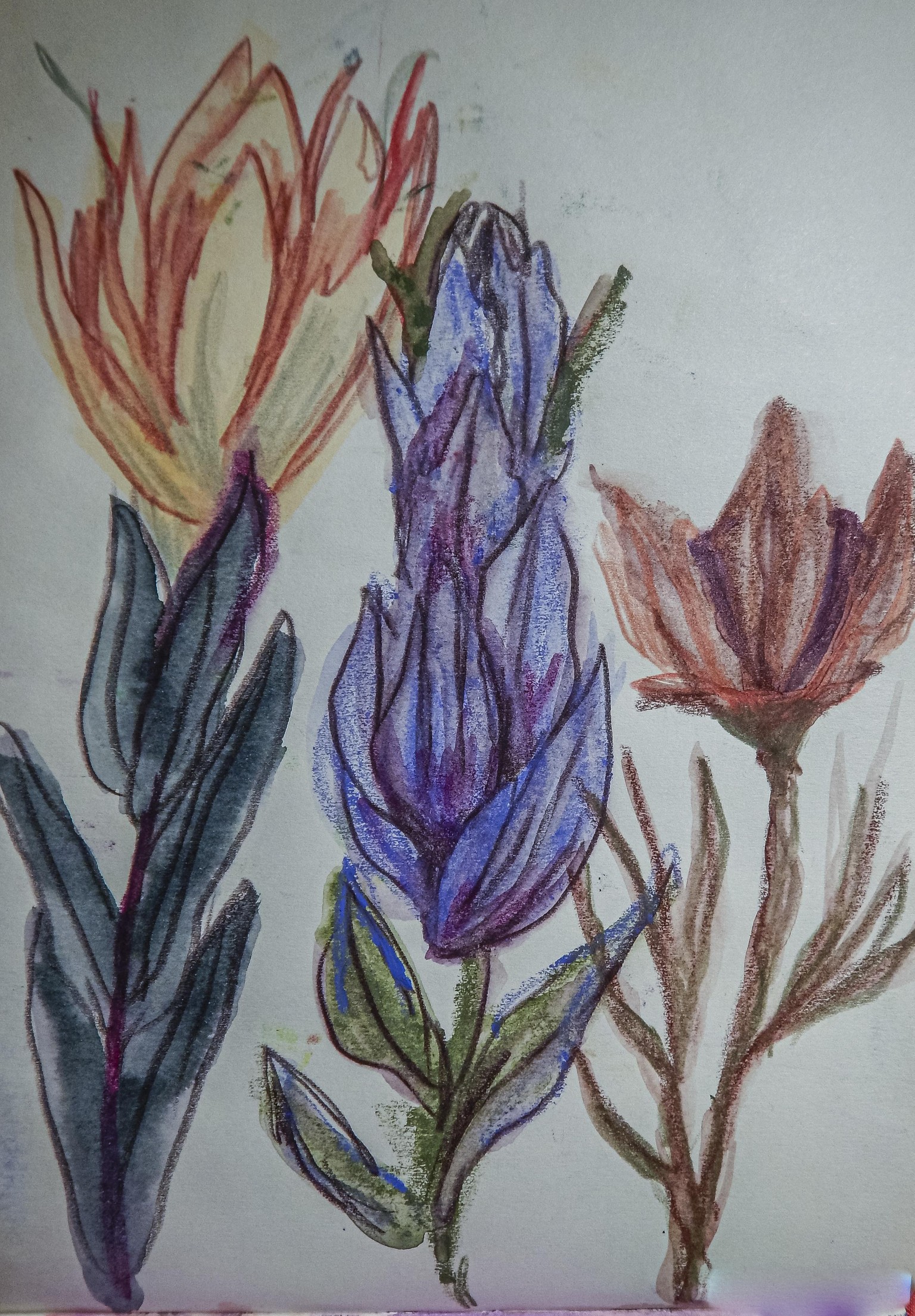 Sketchbook seeds - image 13 - student project