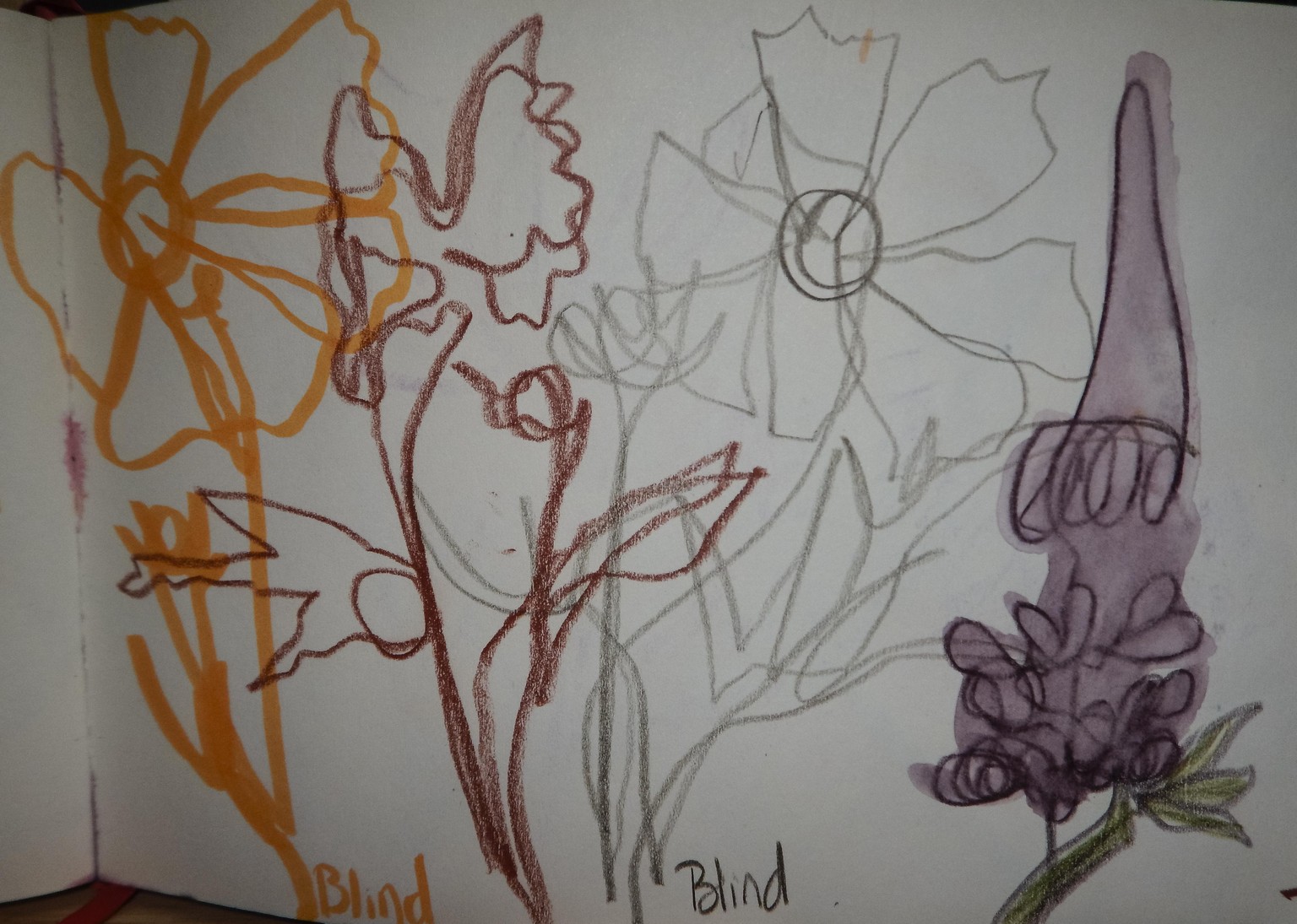 Sketchbook seeds - image 5 - student project
