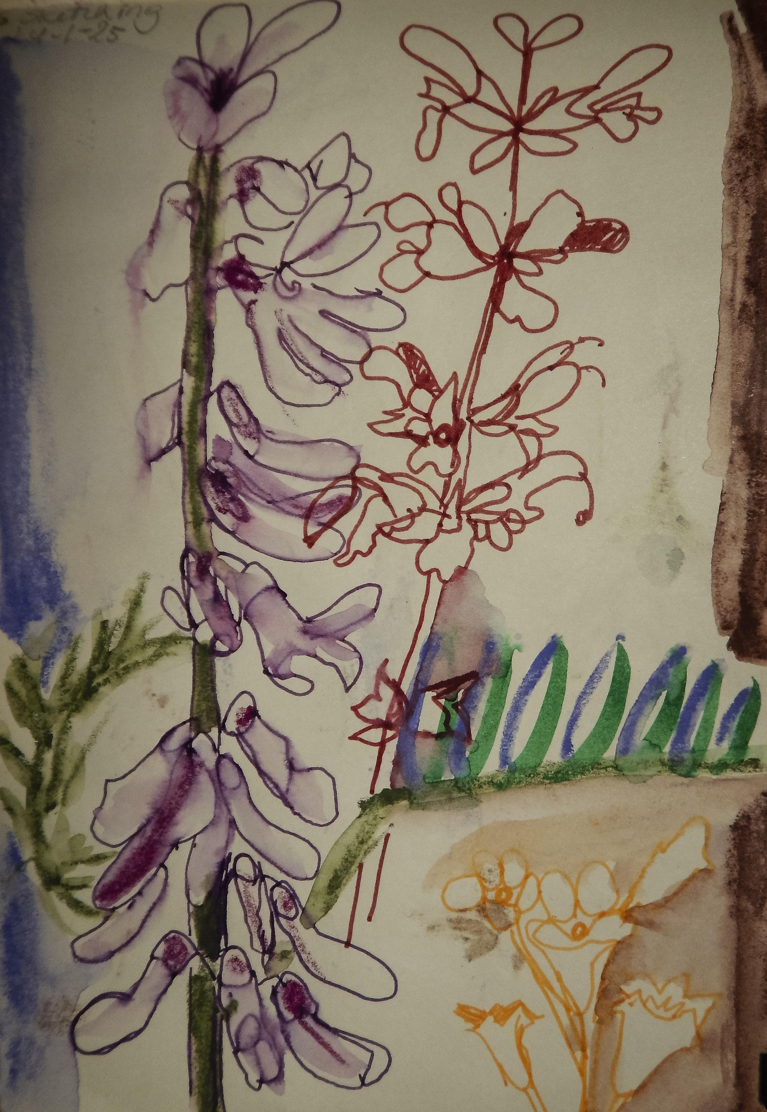Sketchbook seeds - image 12 - student project