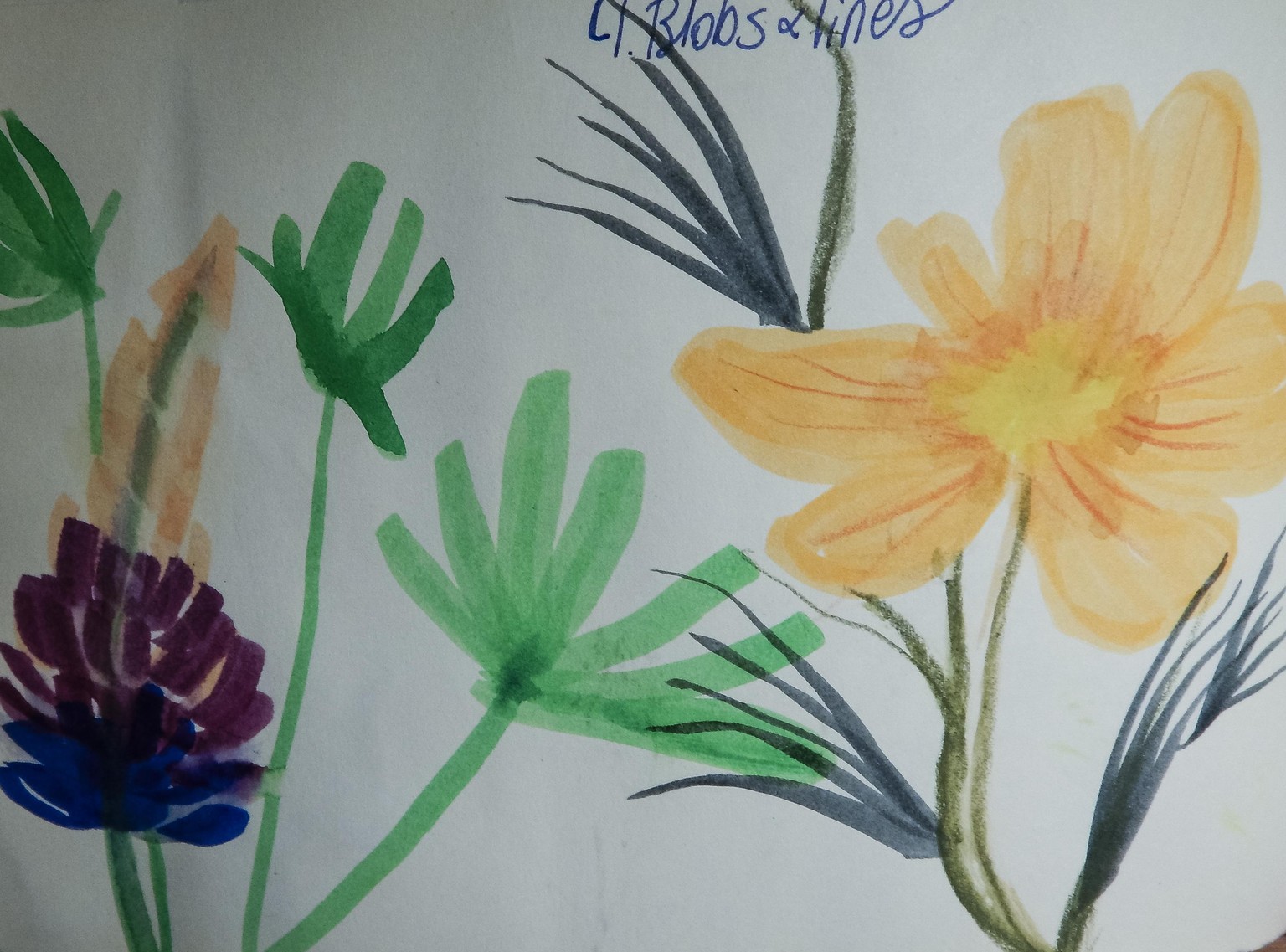 Sketchbook seeds - image 7 - student project