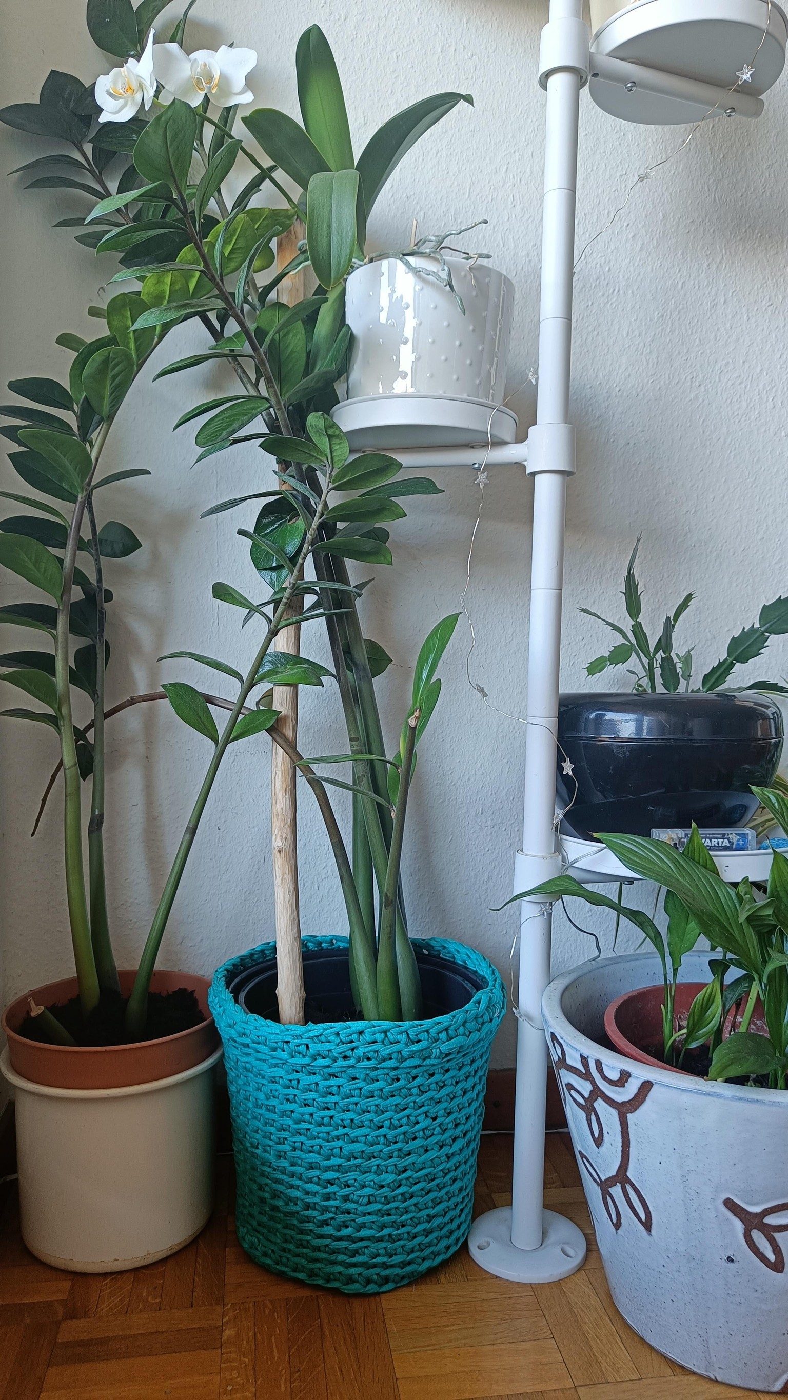 Cache pot - image 1 - student project