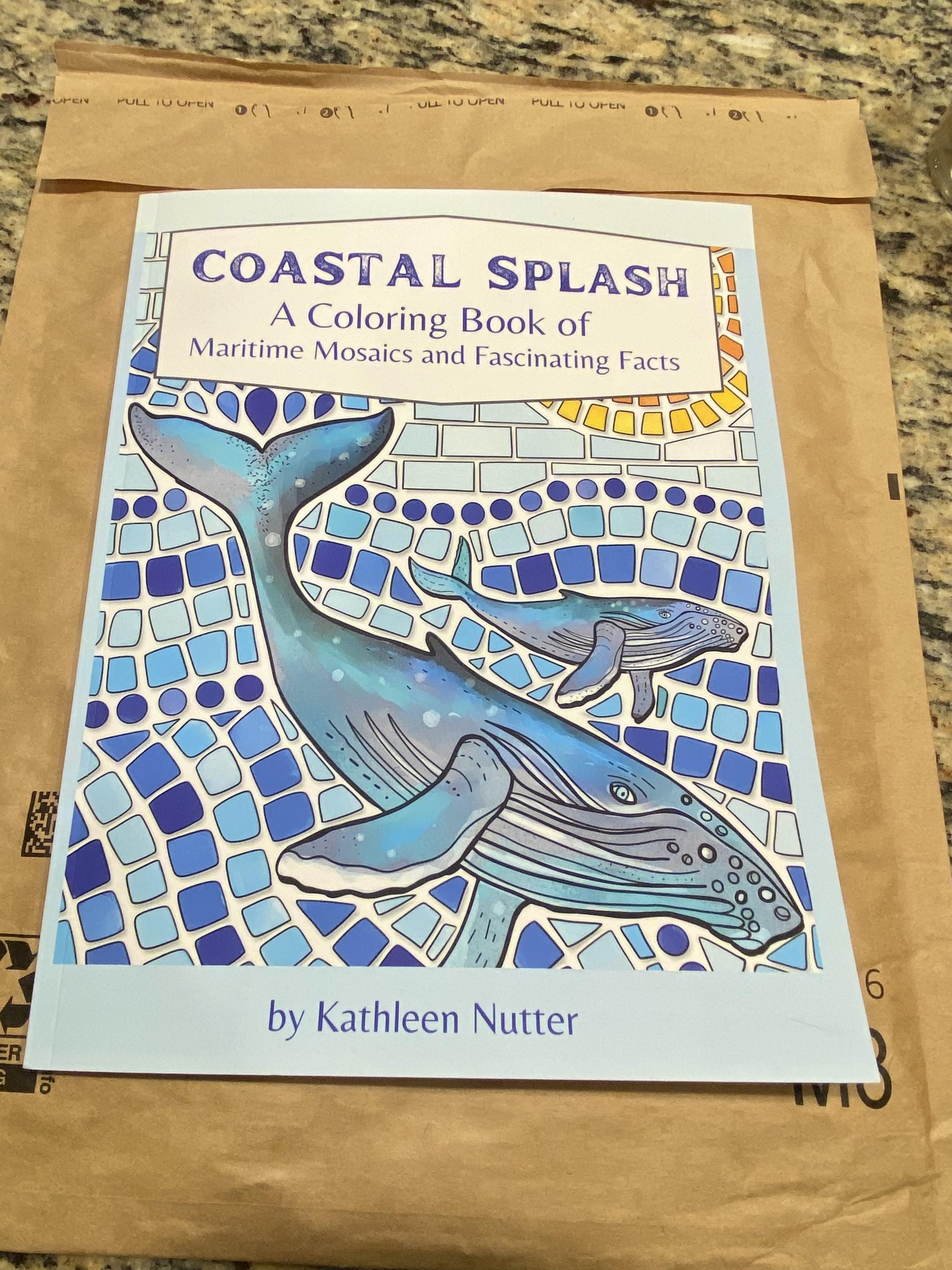 Coastal Splash: A Coloring Book of Maritime Mosaics and Fascinating Facts - image 1 - student project