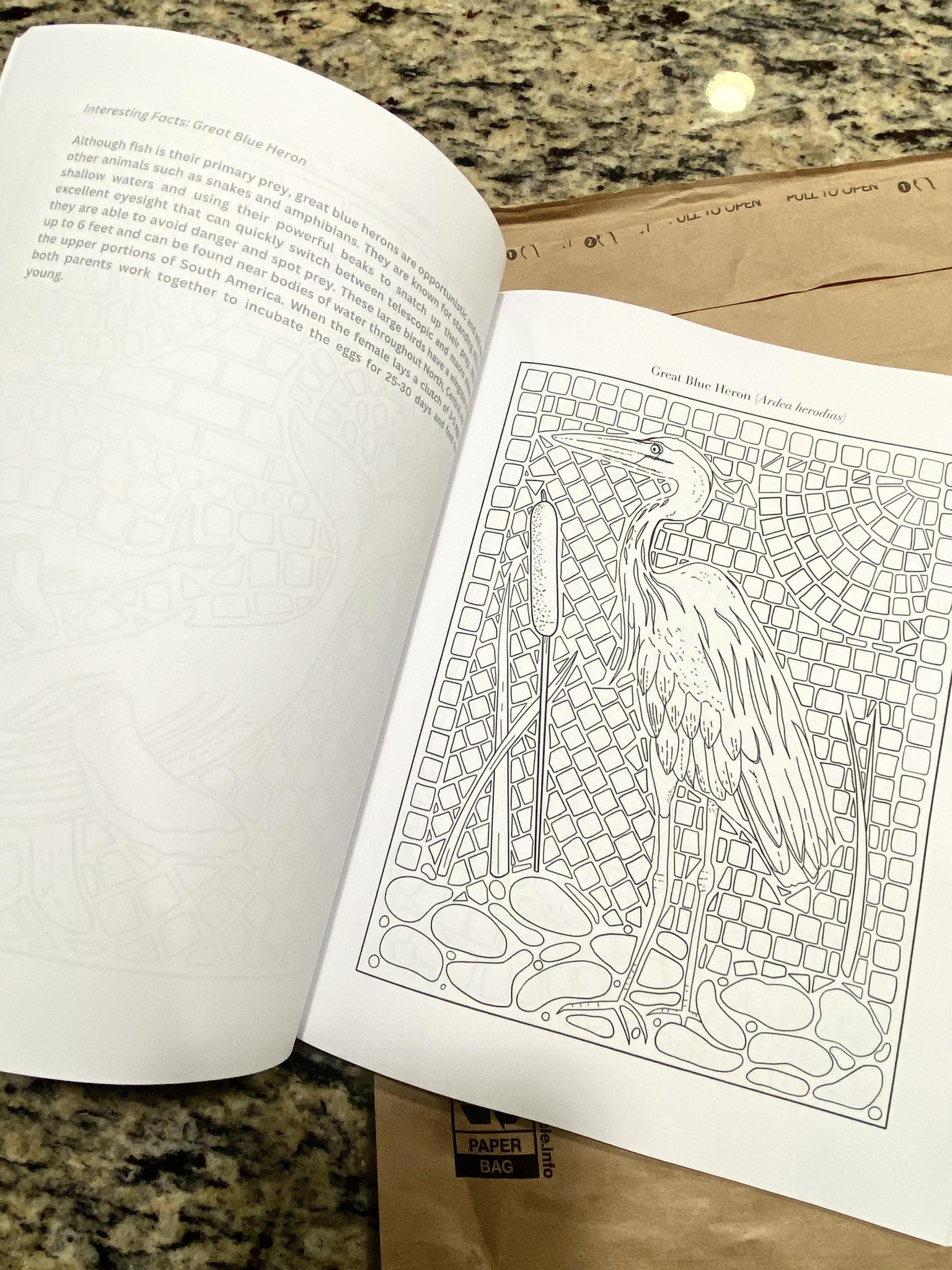Coastal Splash: A Coloring Book of Maritime Mosaics and Fascinating Facts - image 4 - student project
