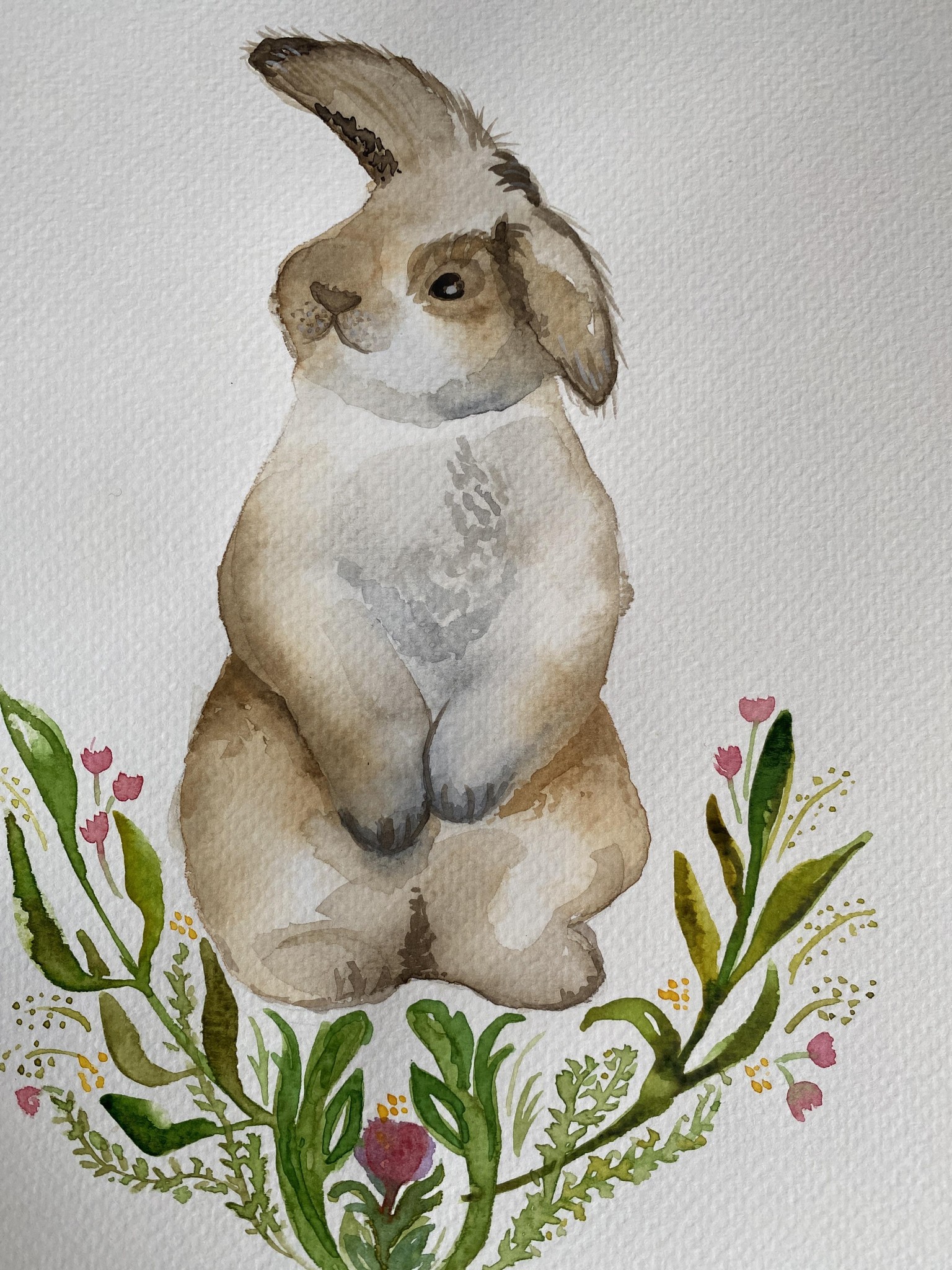 Tendre lapin - image 1 - student project