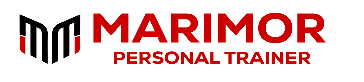 Personal Trainer Logo - image 1 - student project
